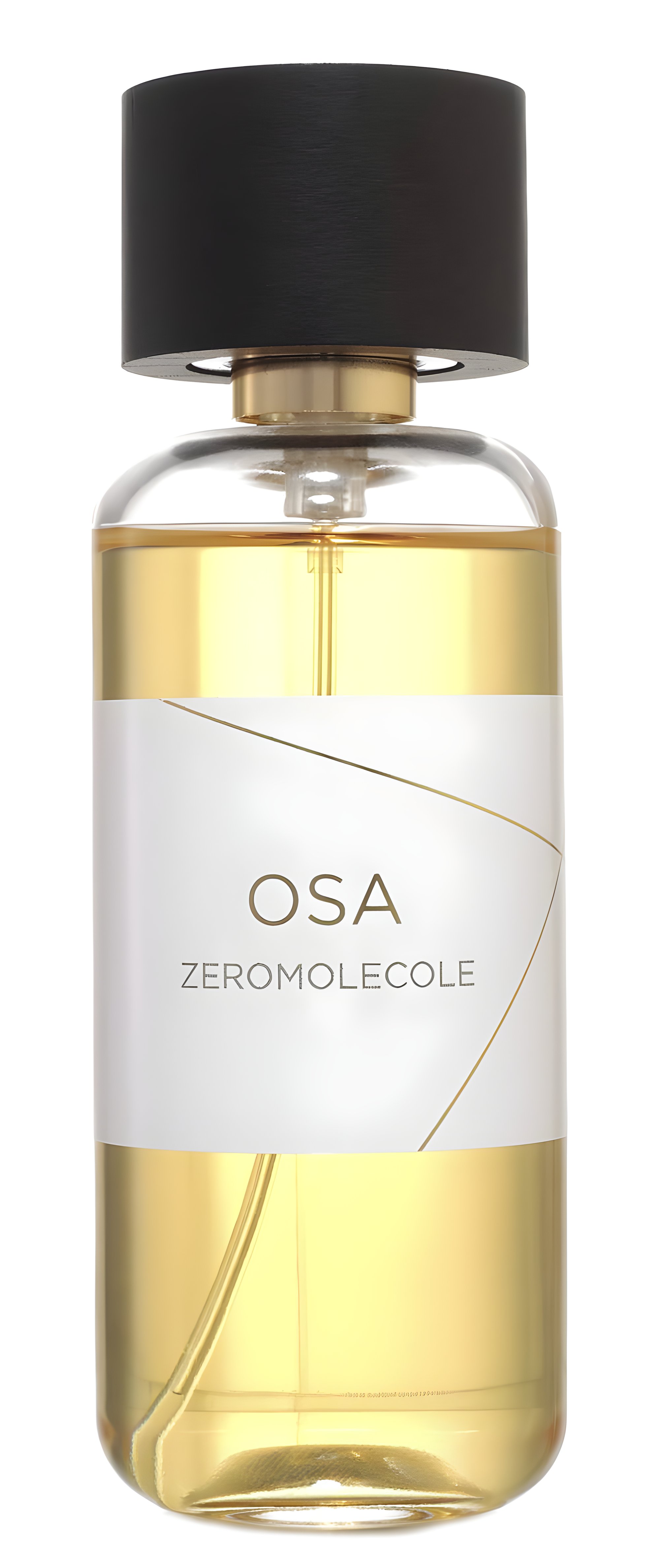 Picture of Osa fragrance