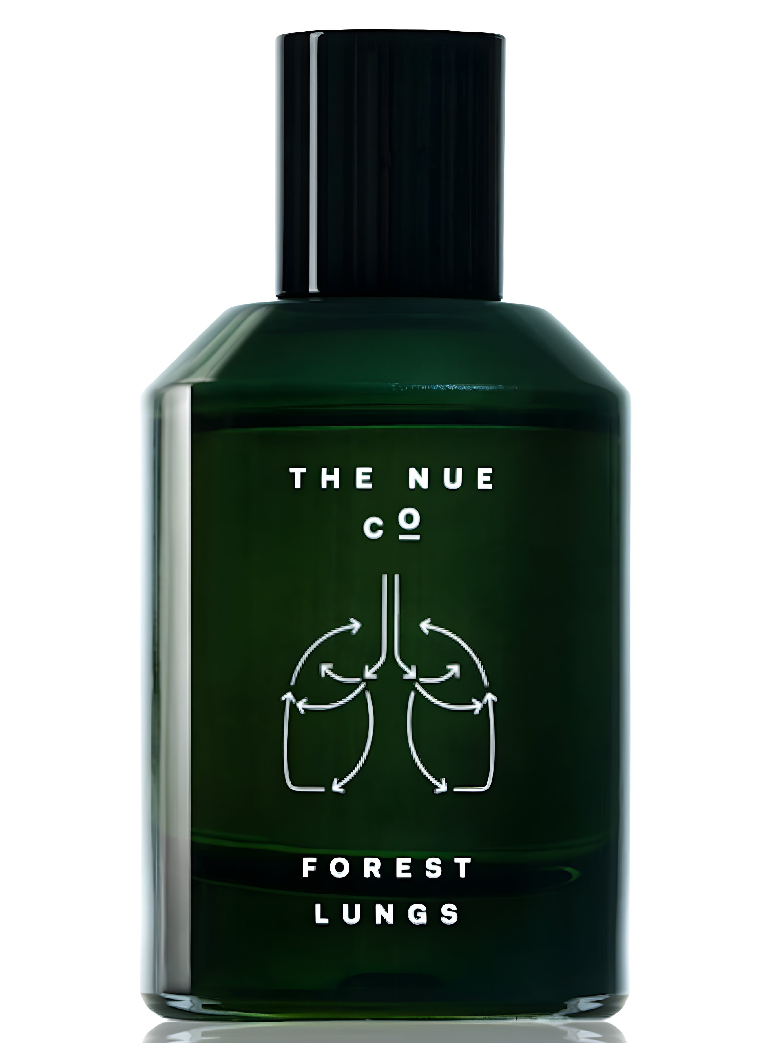 Picture of Forest Lungs fragrance