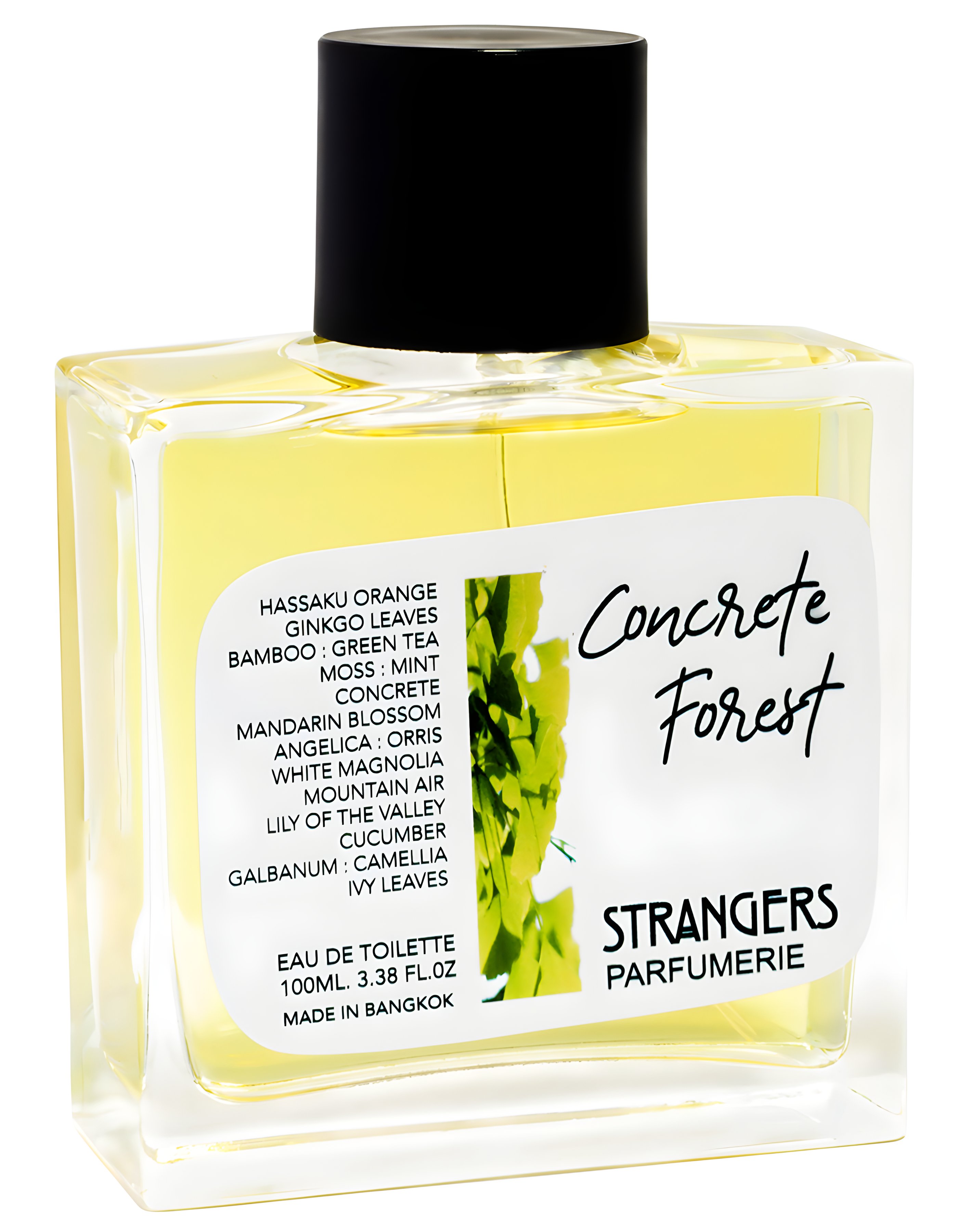 Picture of Concrete Forest fragrance