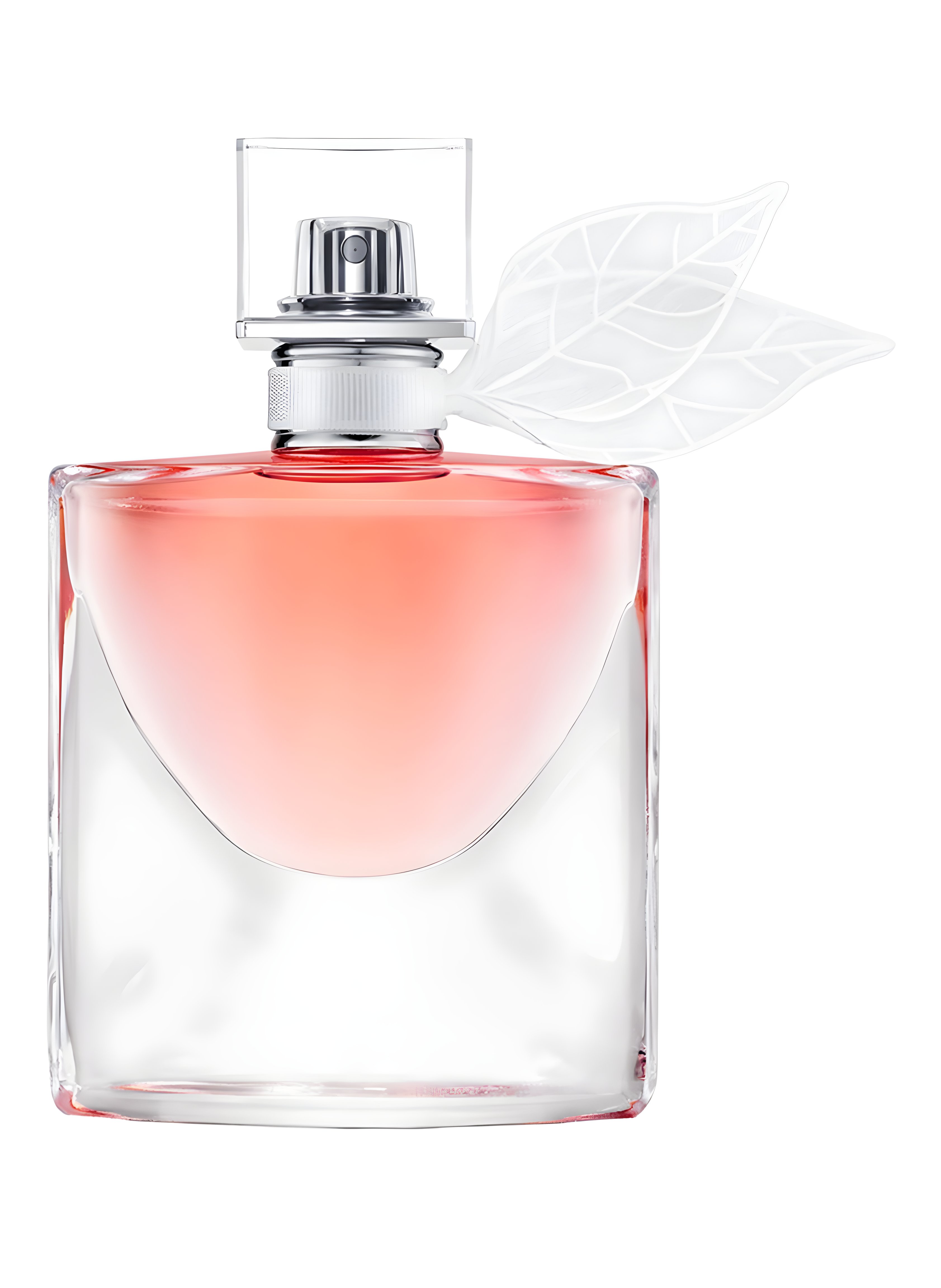 Picture of La Vie Est Belle Domaine de La Rose fragrance