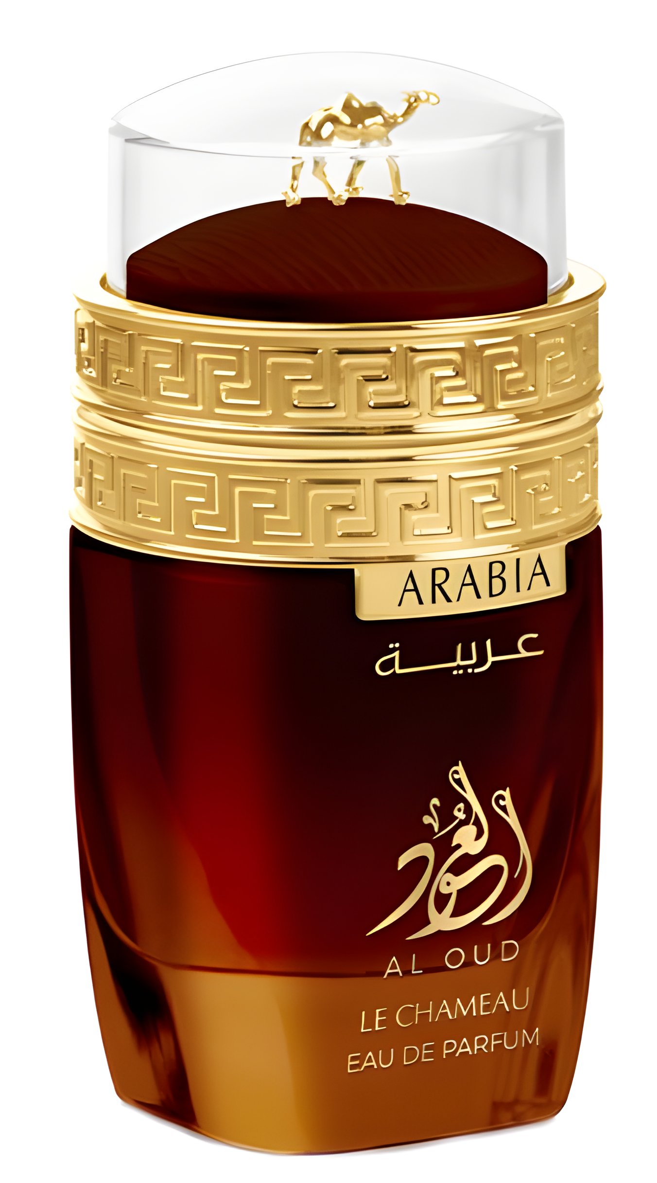 Picture of Arabia Al Oud fragrance