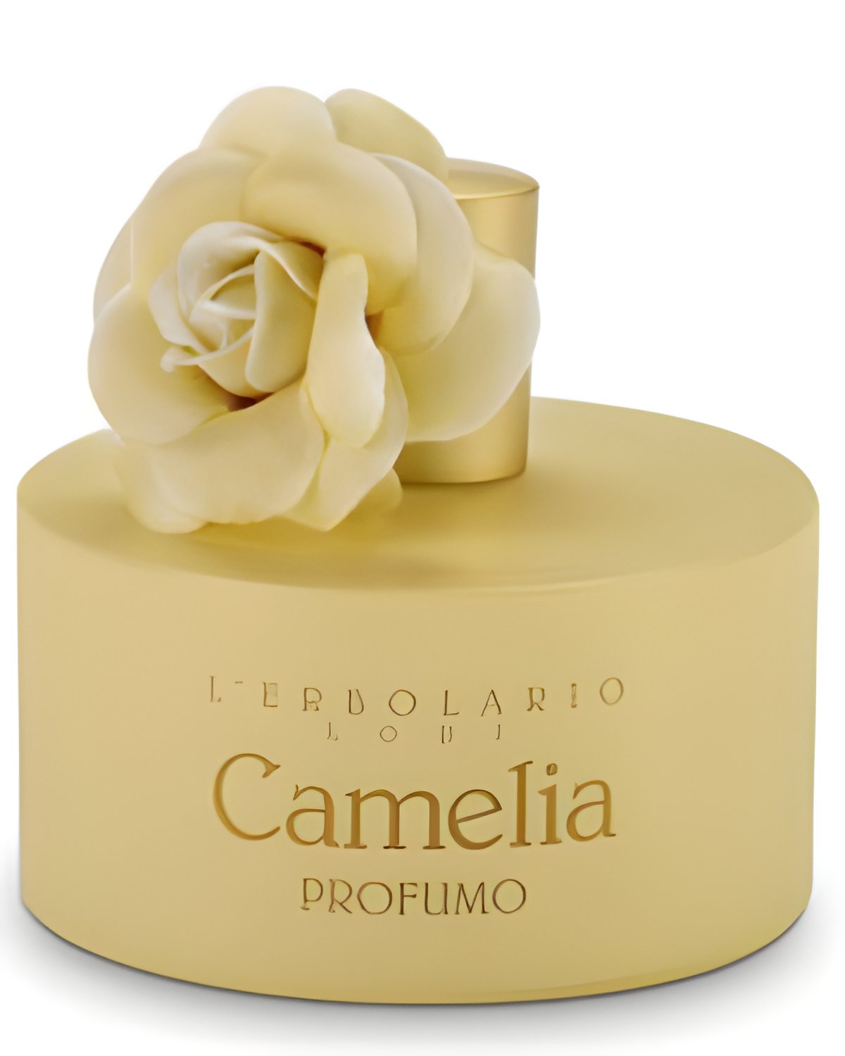 Picture of Camelia fragrance