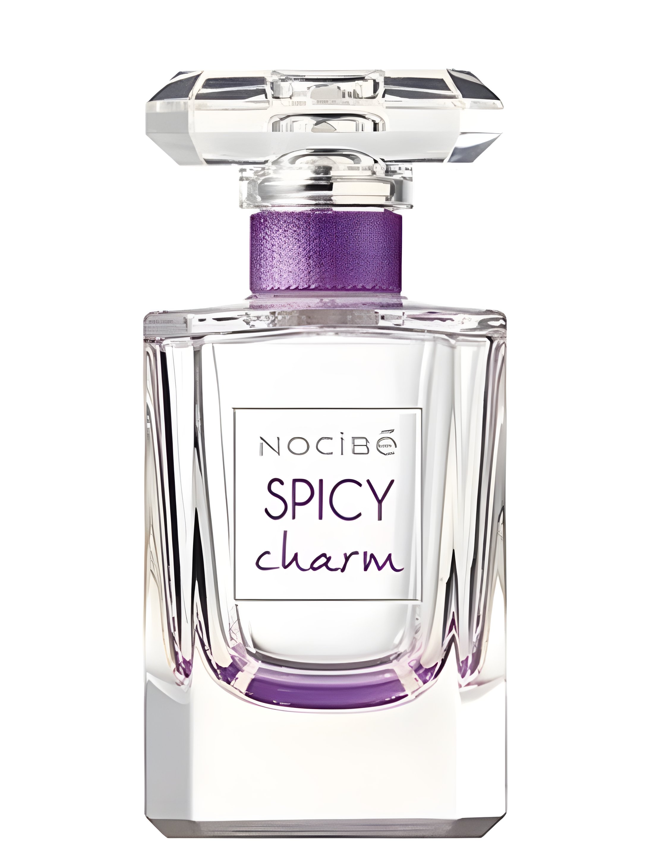 Picture of Spicy Charm fragrance