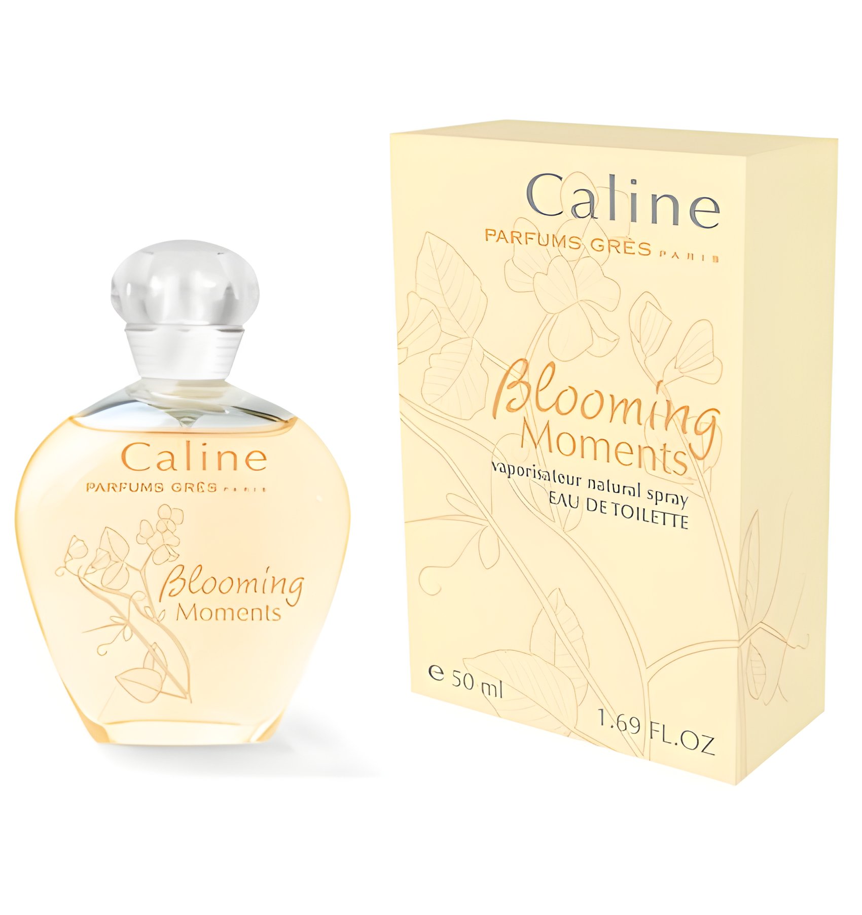 Picture of Caline Blooming Moments fragrance