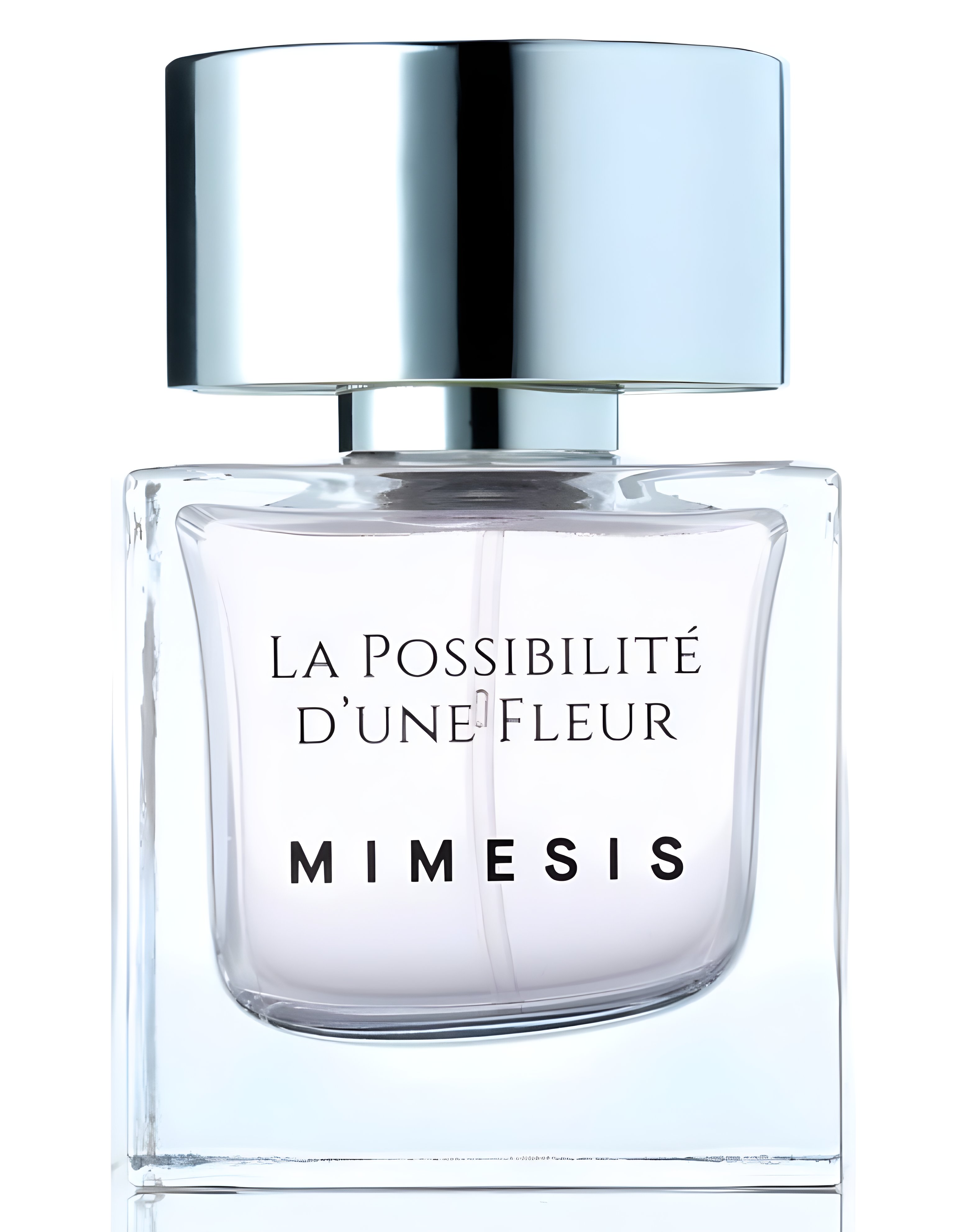 Picture of La Possibilité d'Une Fleur fragrance