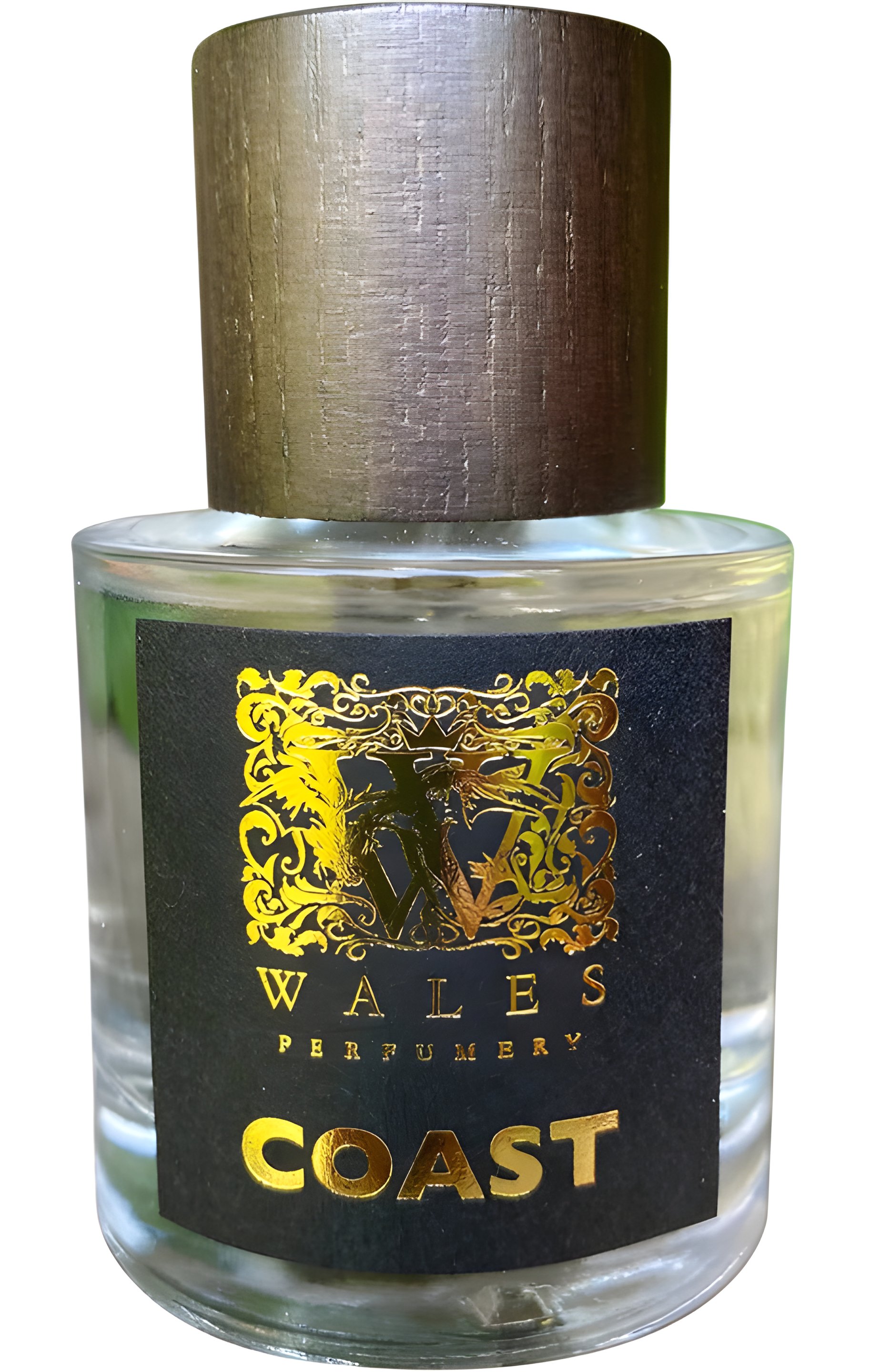 Picture of Coast fragrance