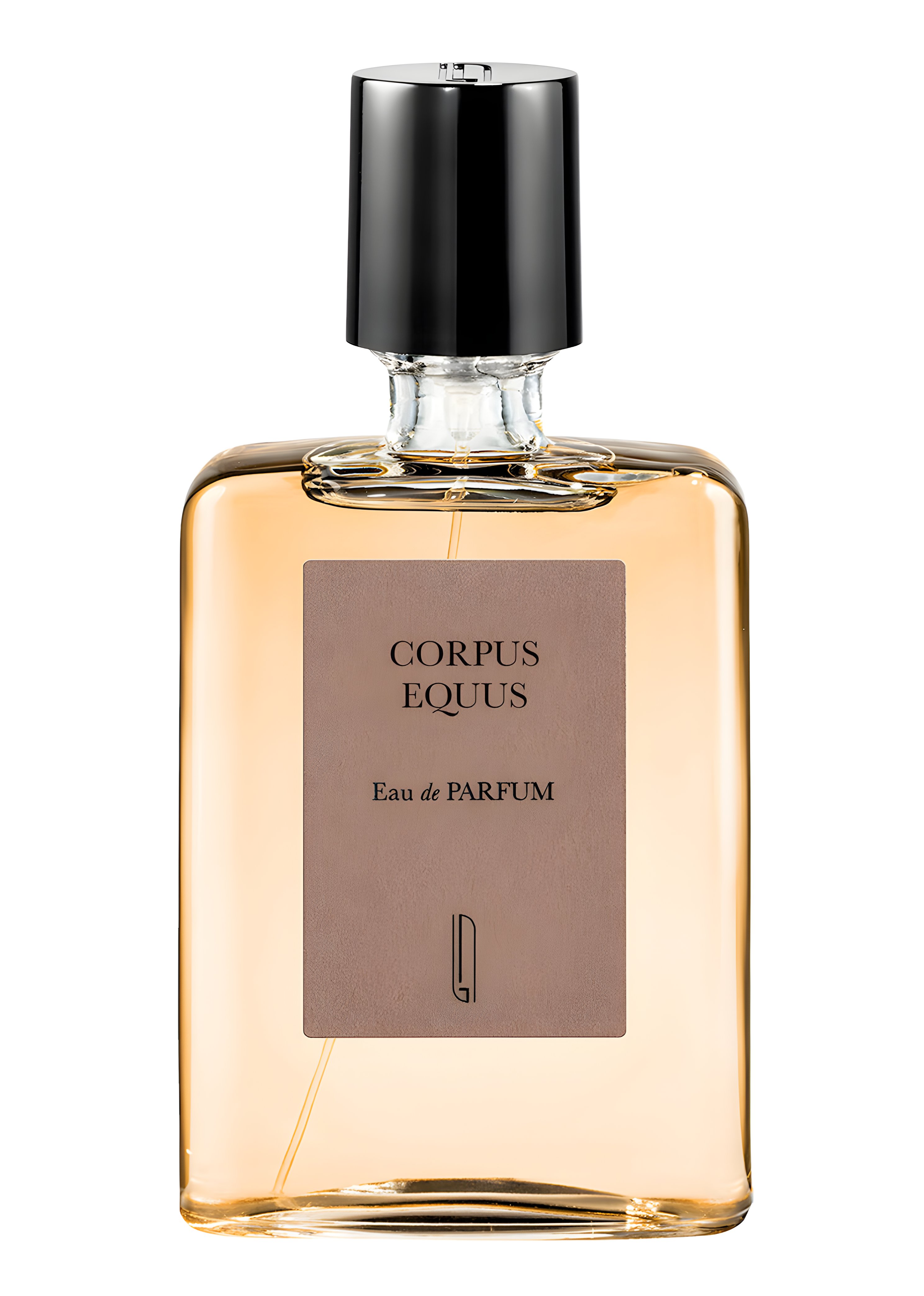 Picture of Corpus Equus fragrance