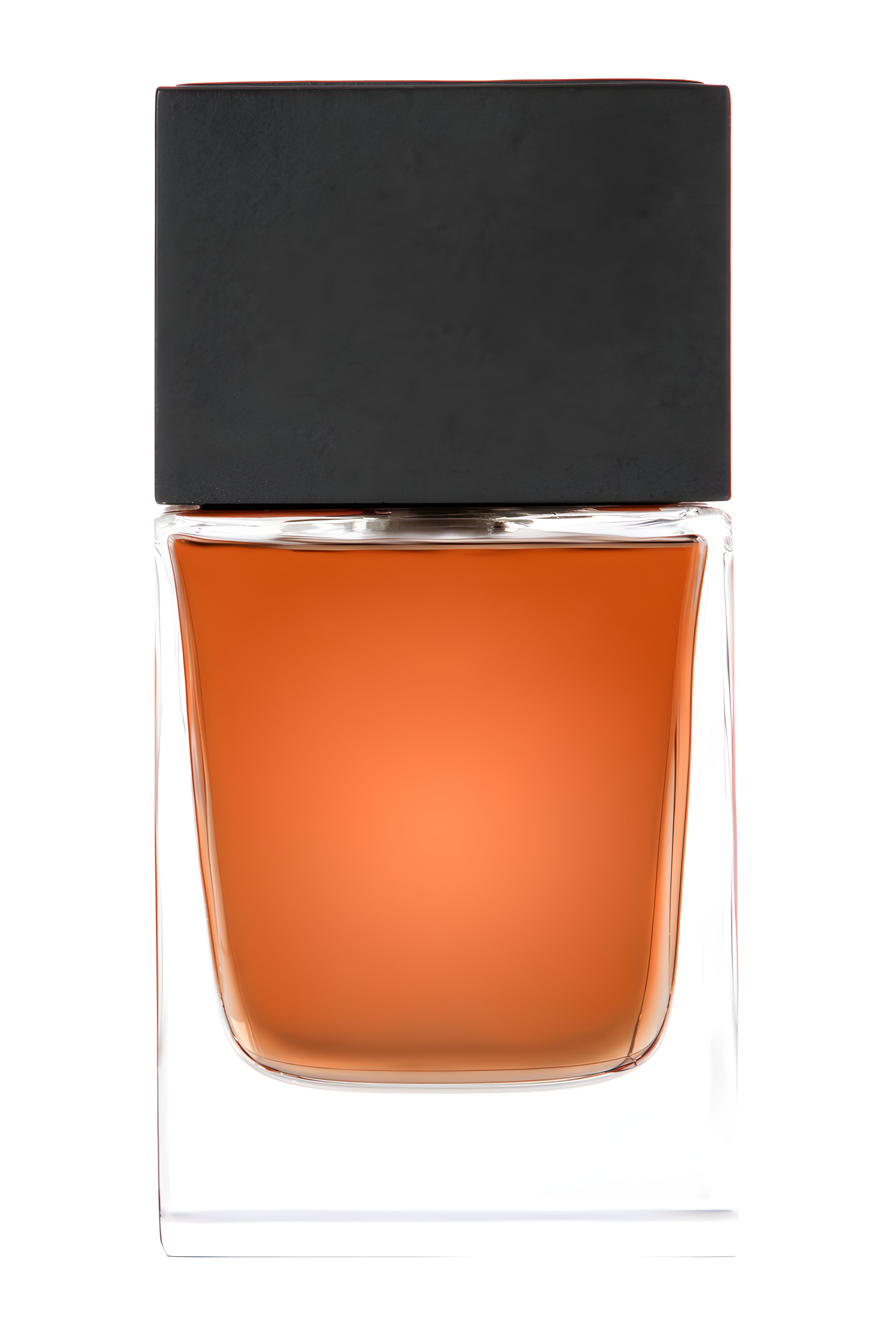 Picture of Amber Absolute fragrance