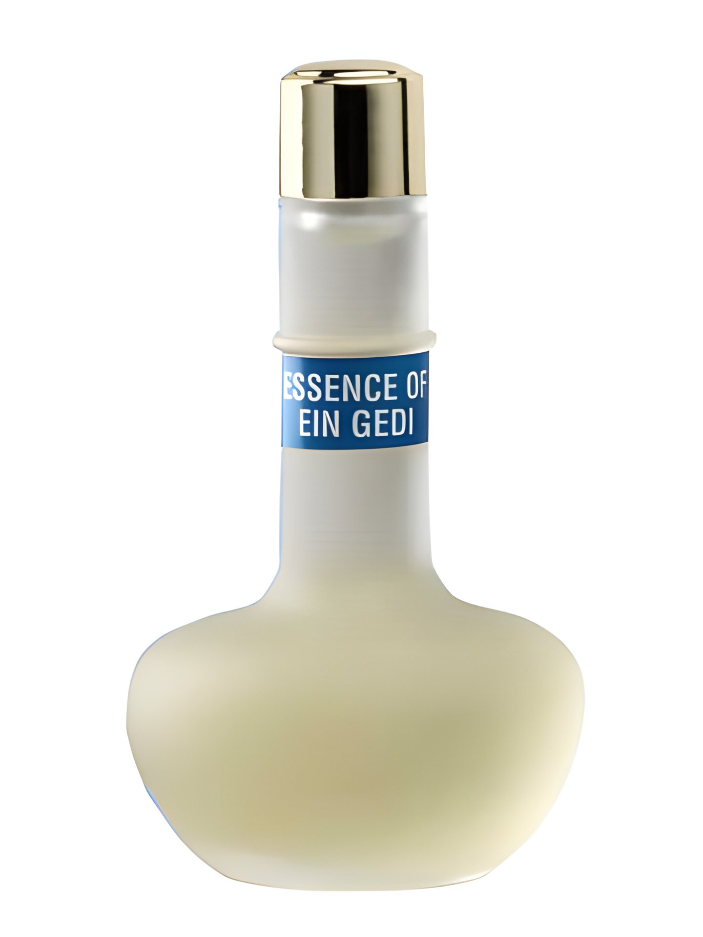 Picture of Essence of Ein Gedi fragrance