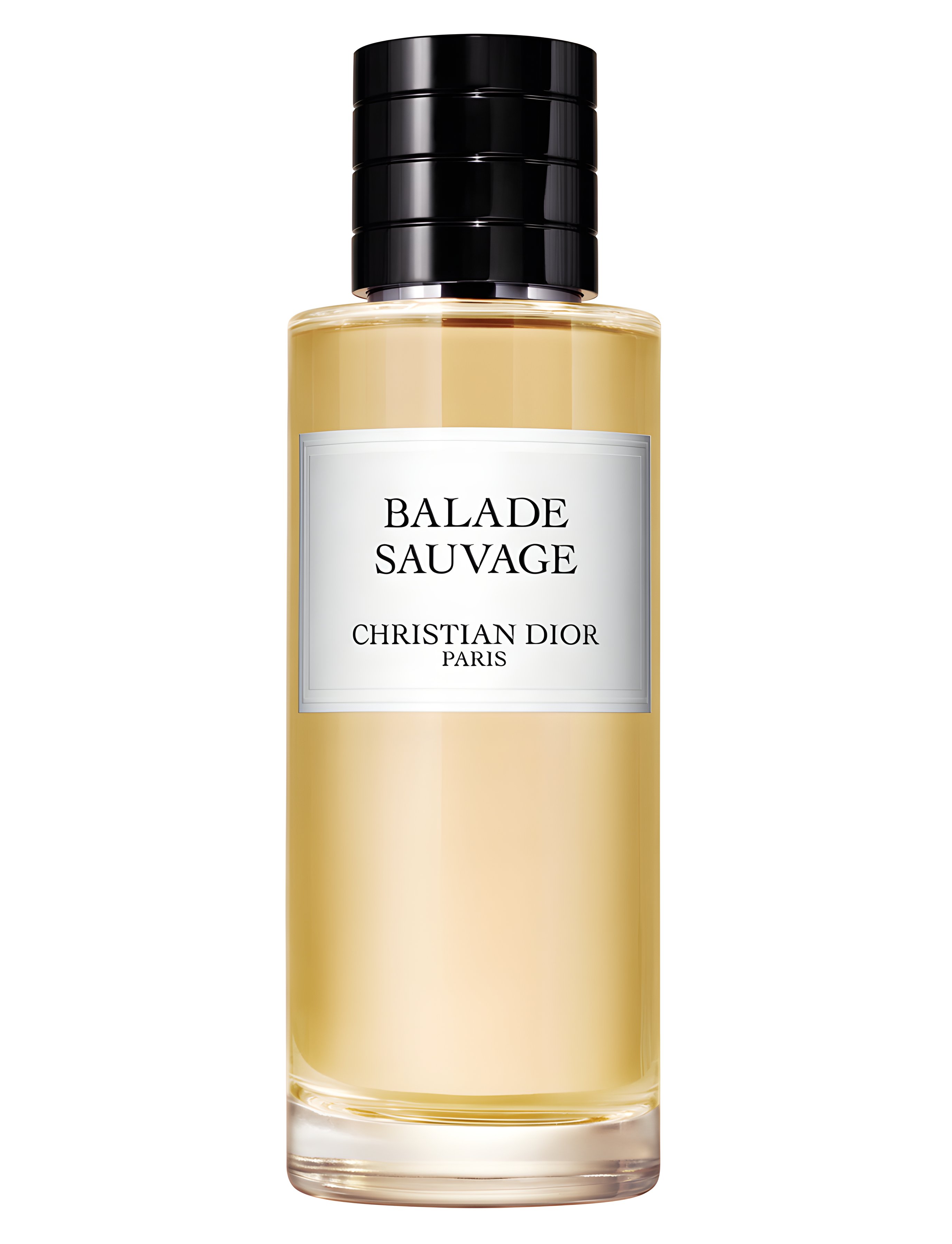 Picture of Balade Sauvage fragrance