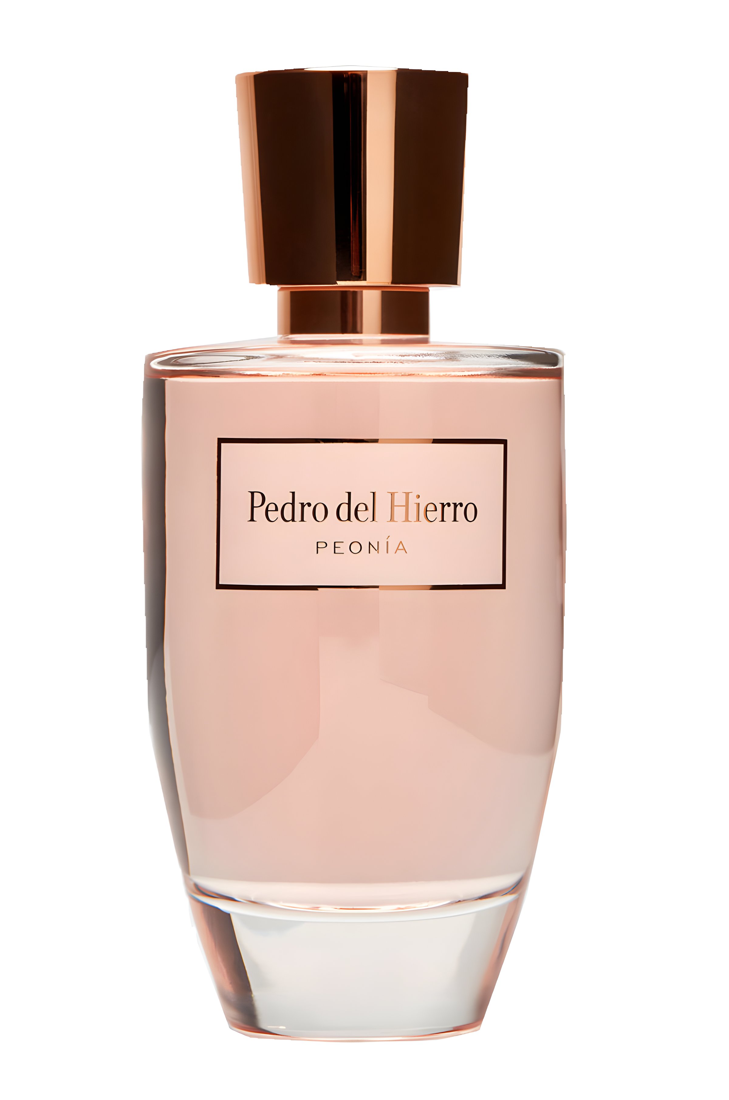 Picture of Peonia fragrance