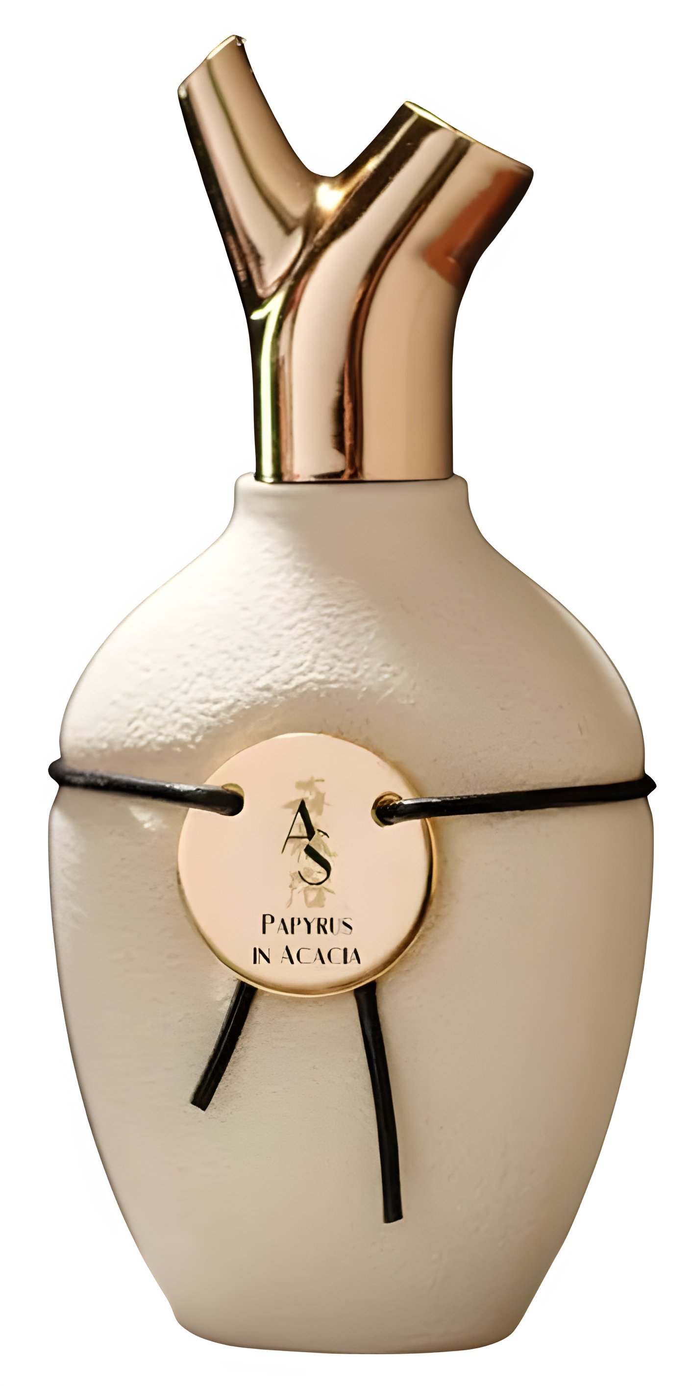 Picture of Papyrus in Acacia fragrance