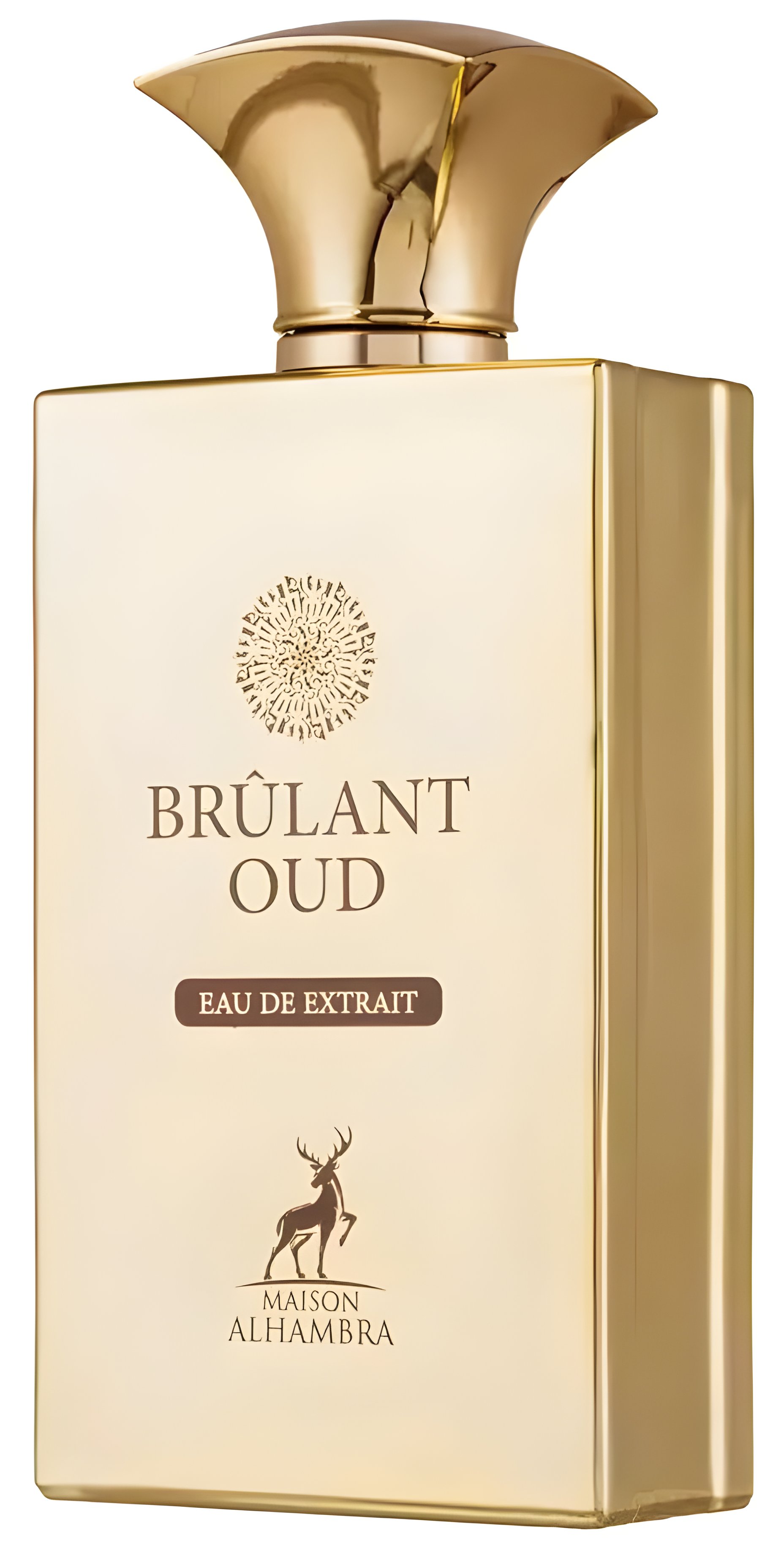 Picture of Brûlant Oud fragrance