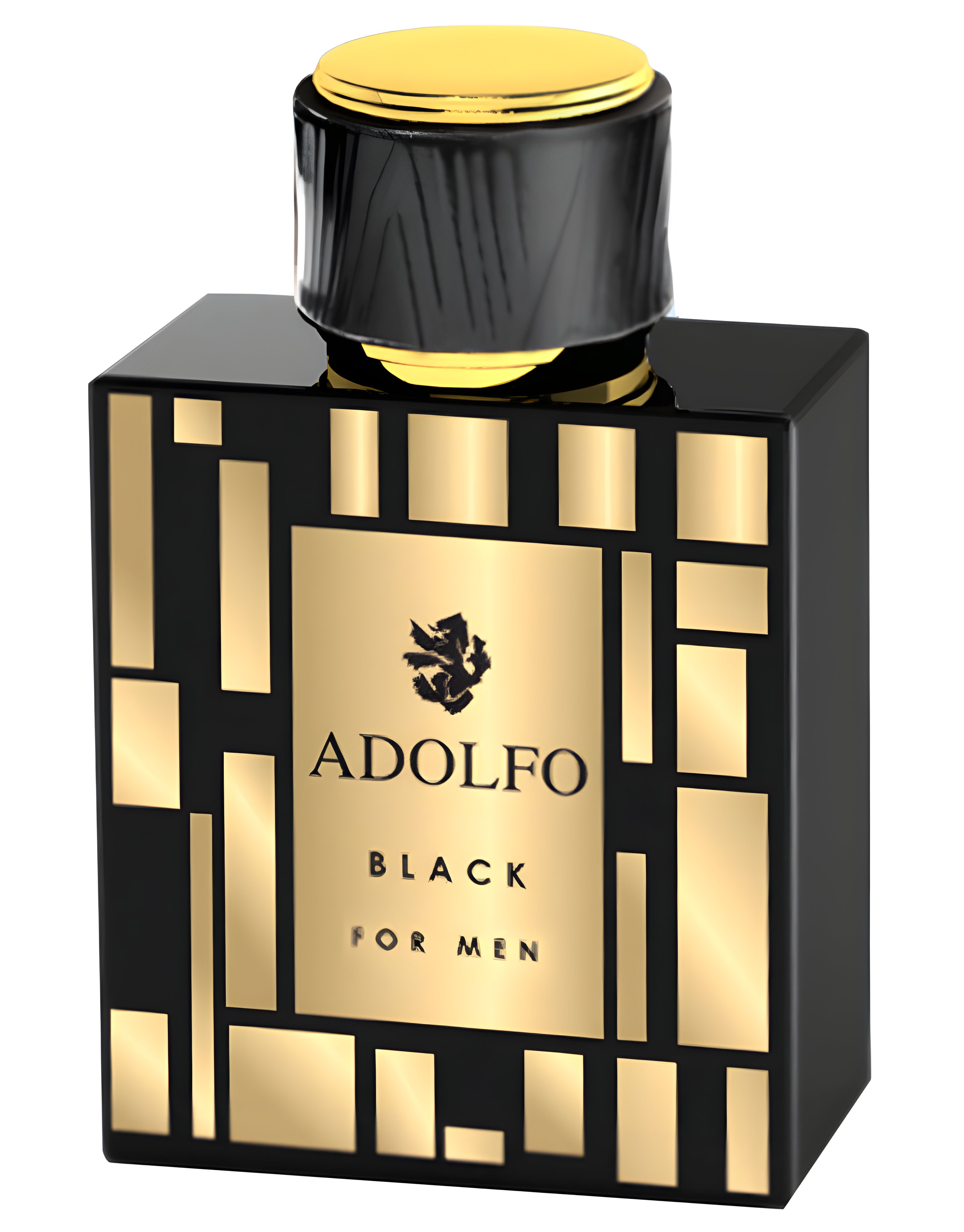 Picture of Adolfo Black for Men fragrance