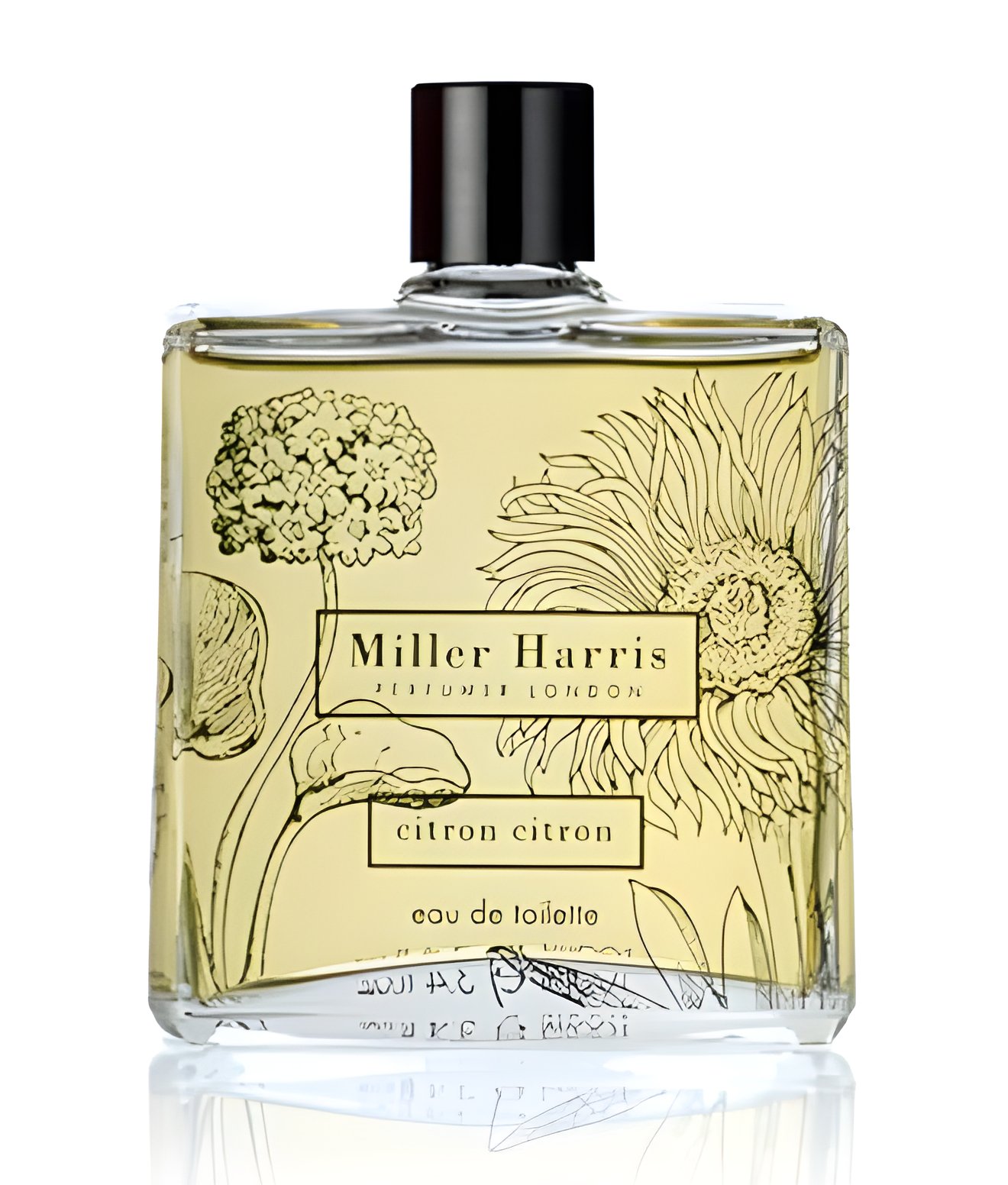 Picture of Citron Citron fragrance