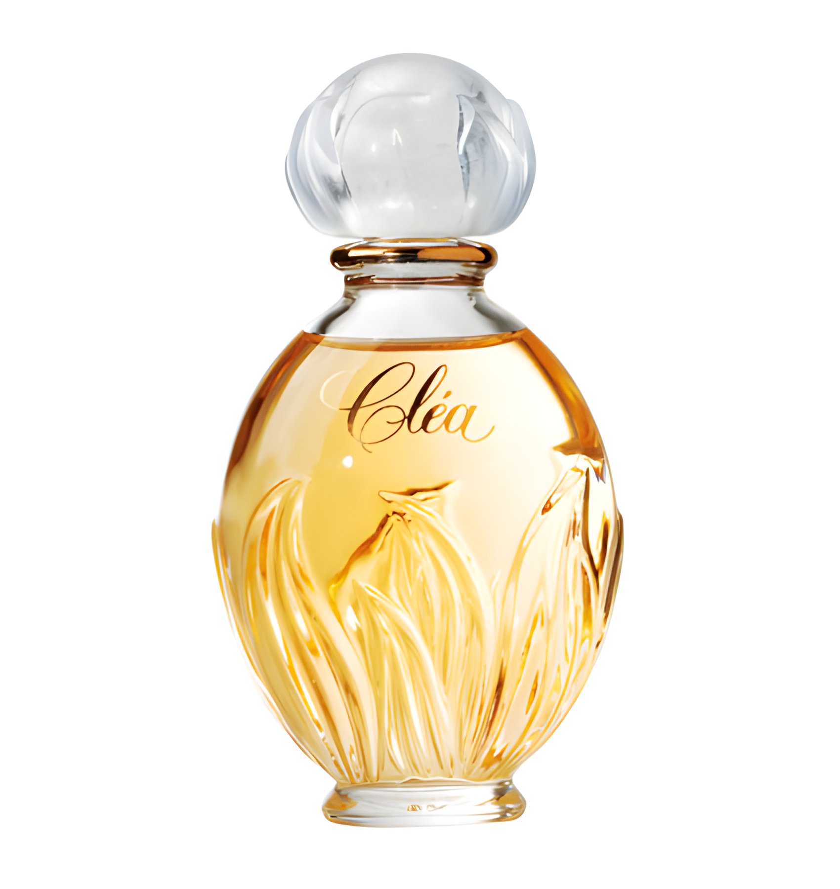 Picture of Clea fragrance