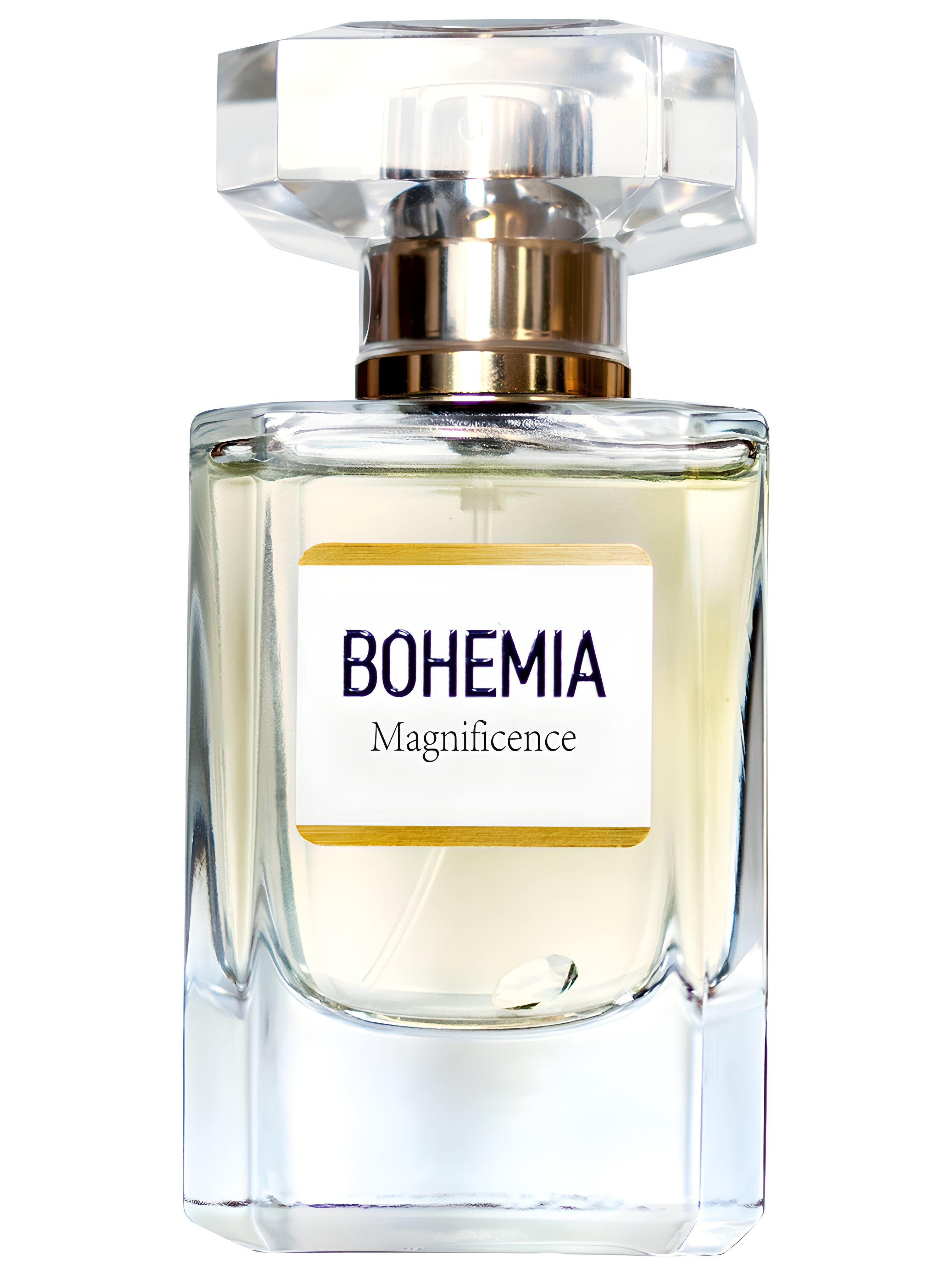 Picture of Bohemia Magnificence fragrance