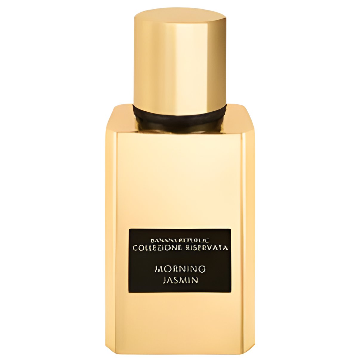 Picture of Morning Jasmine fragrance