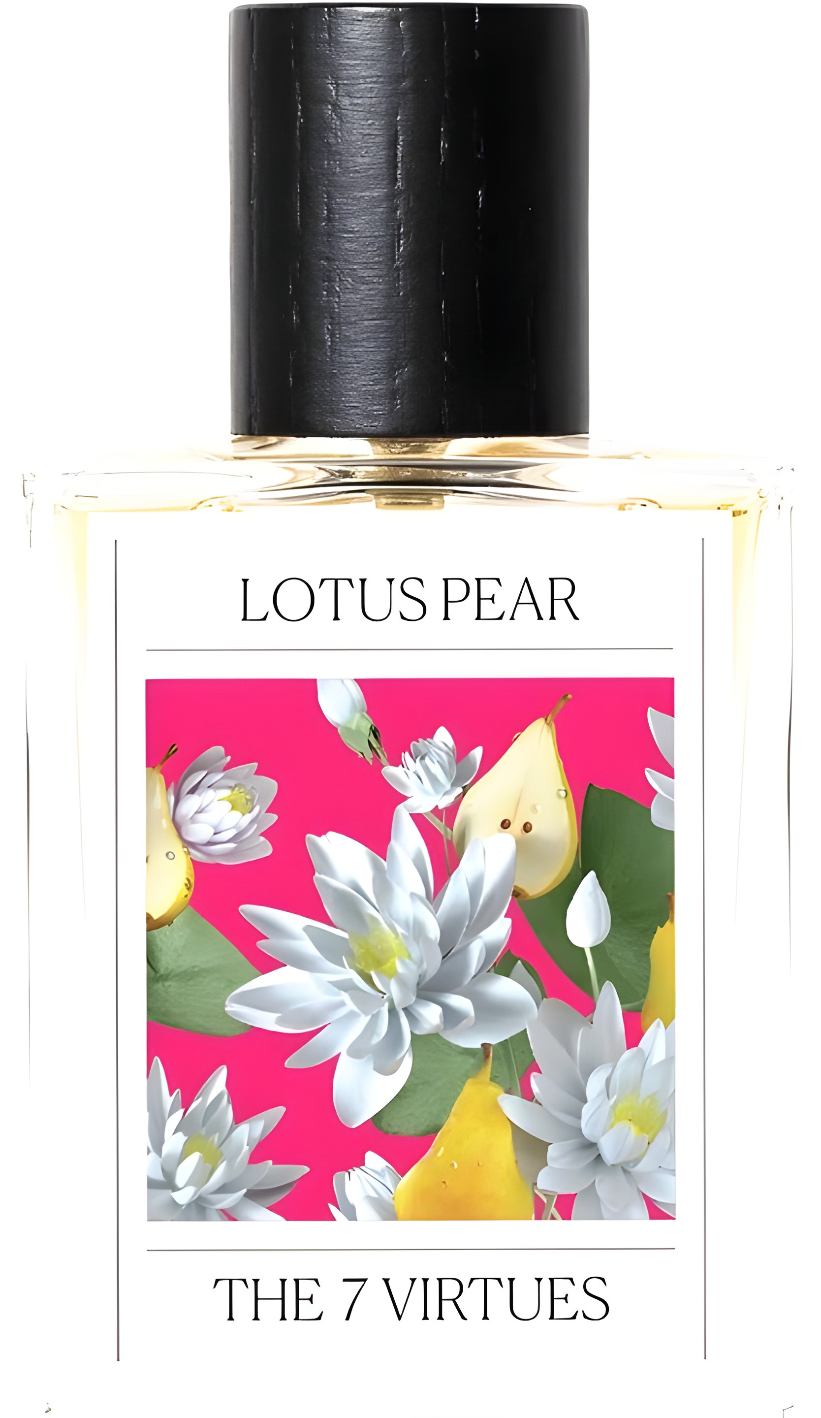 Picture of Lotus Pear fragrance