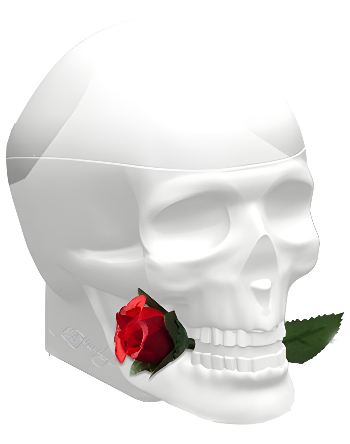 Picture of Ed Hardy Skulls & Roses for Her fragrance