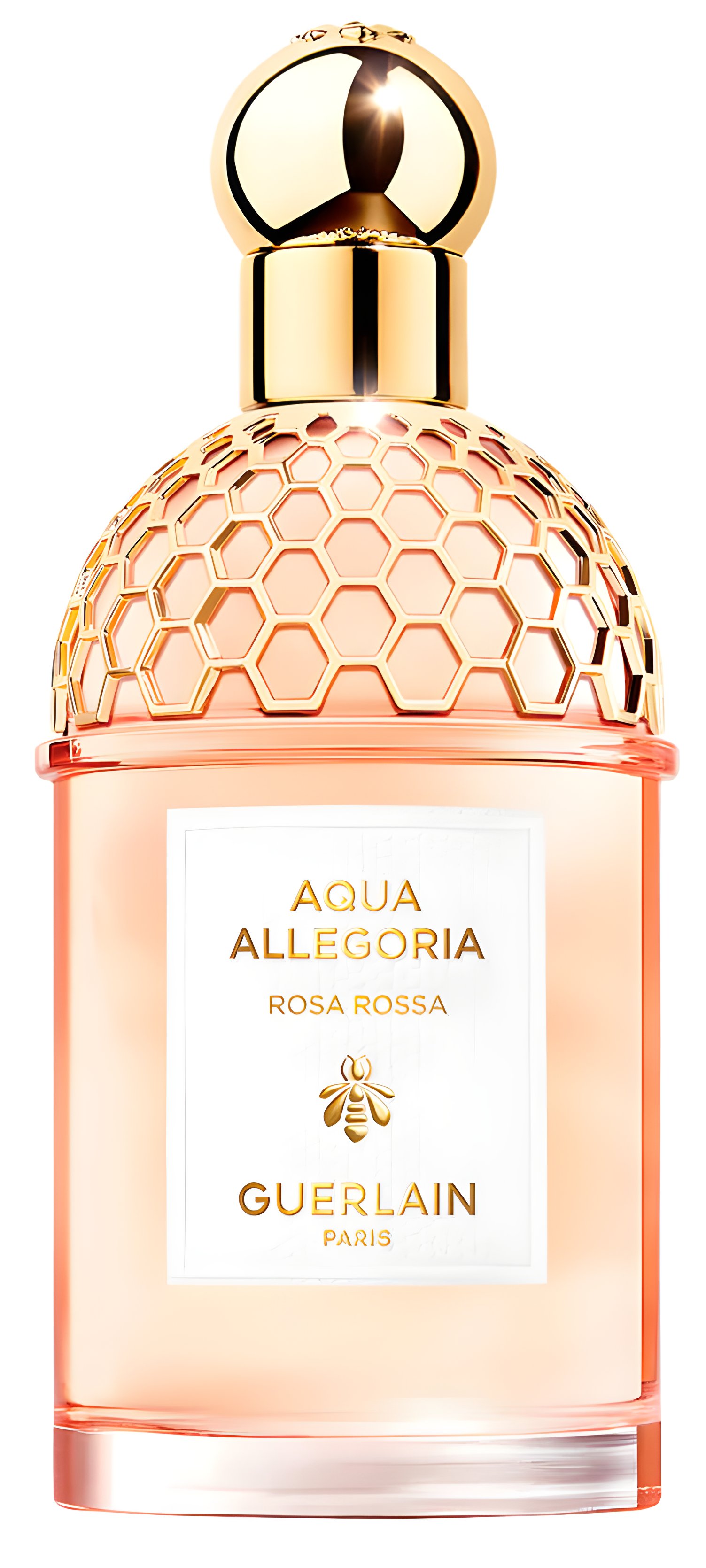 Aqua Allegoria Rosa Rossa - Guerlain