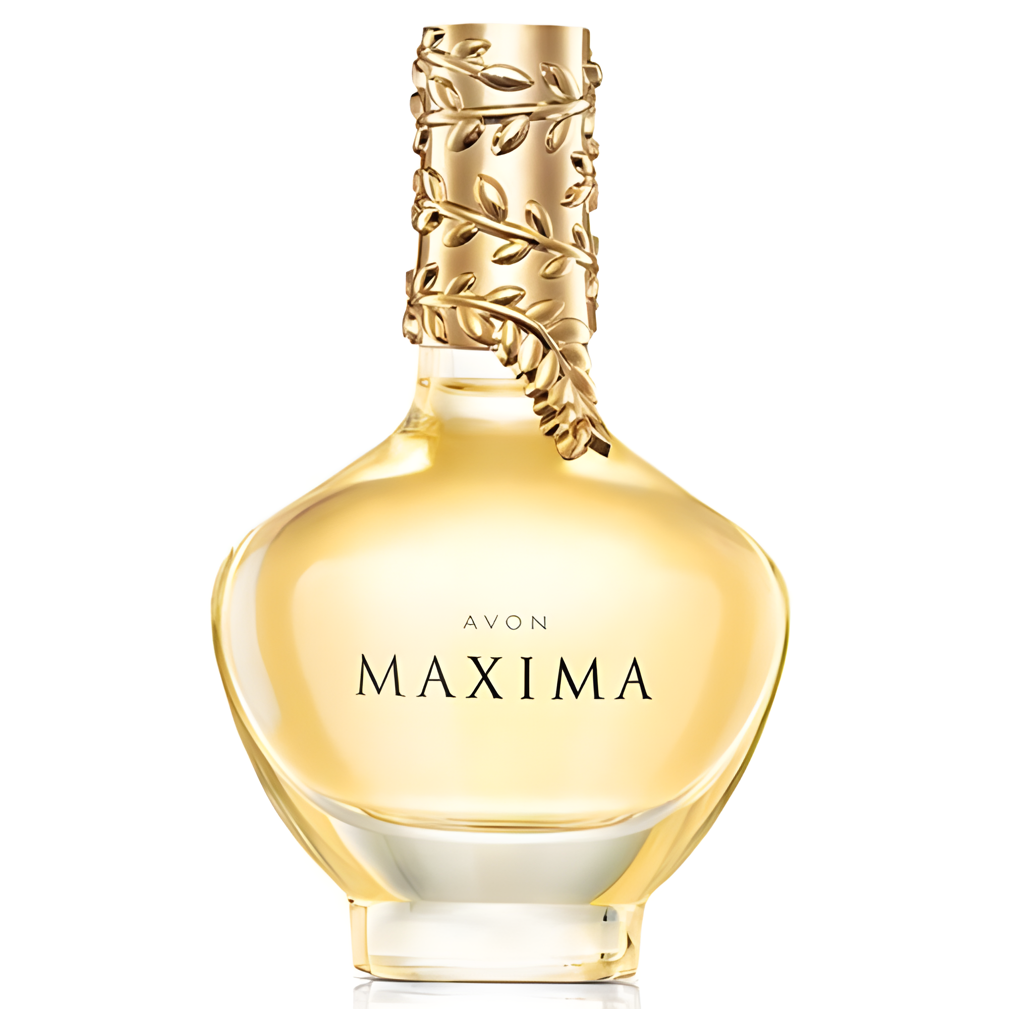 Picture of Maxima fragrance