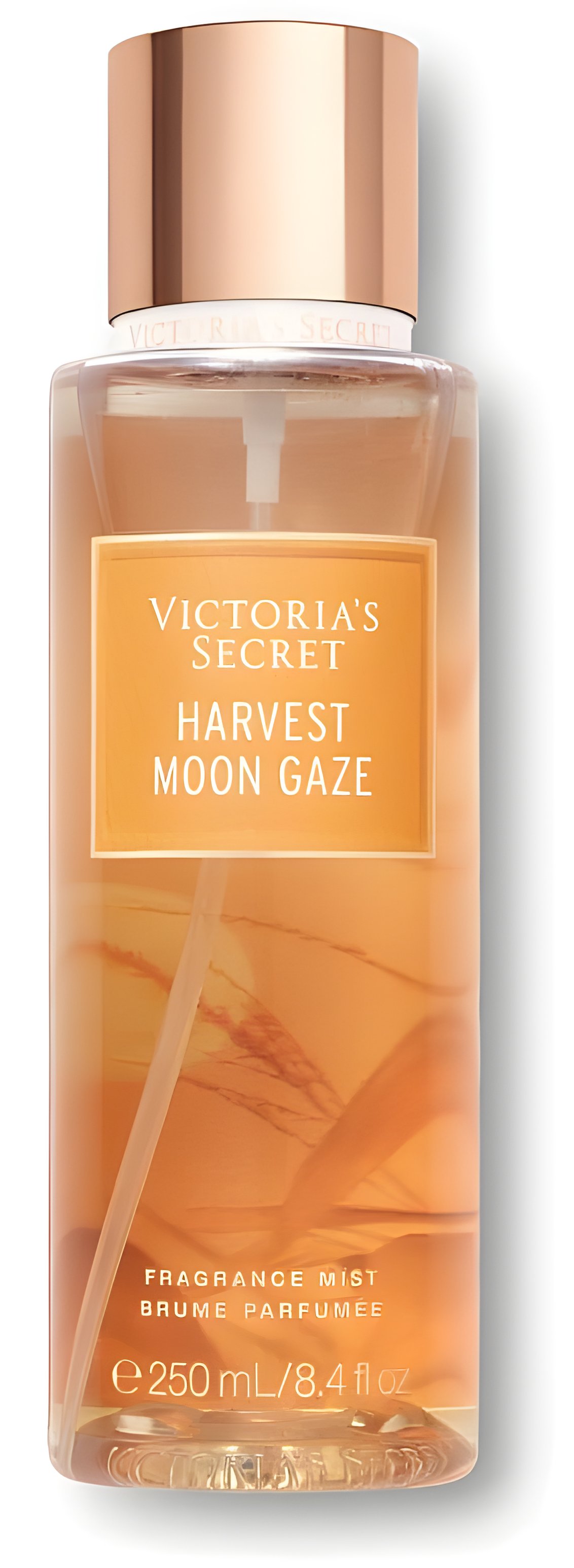 Picture of Harvest Moon Gaze fragrance