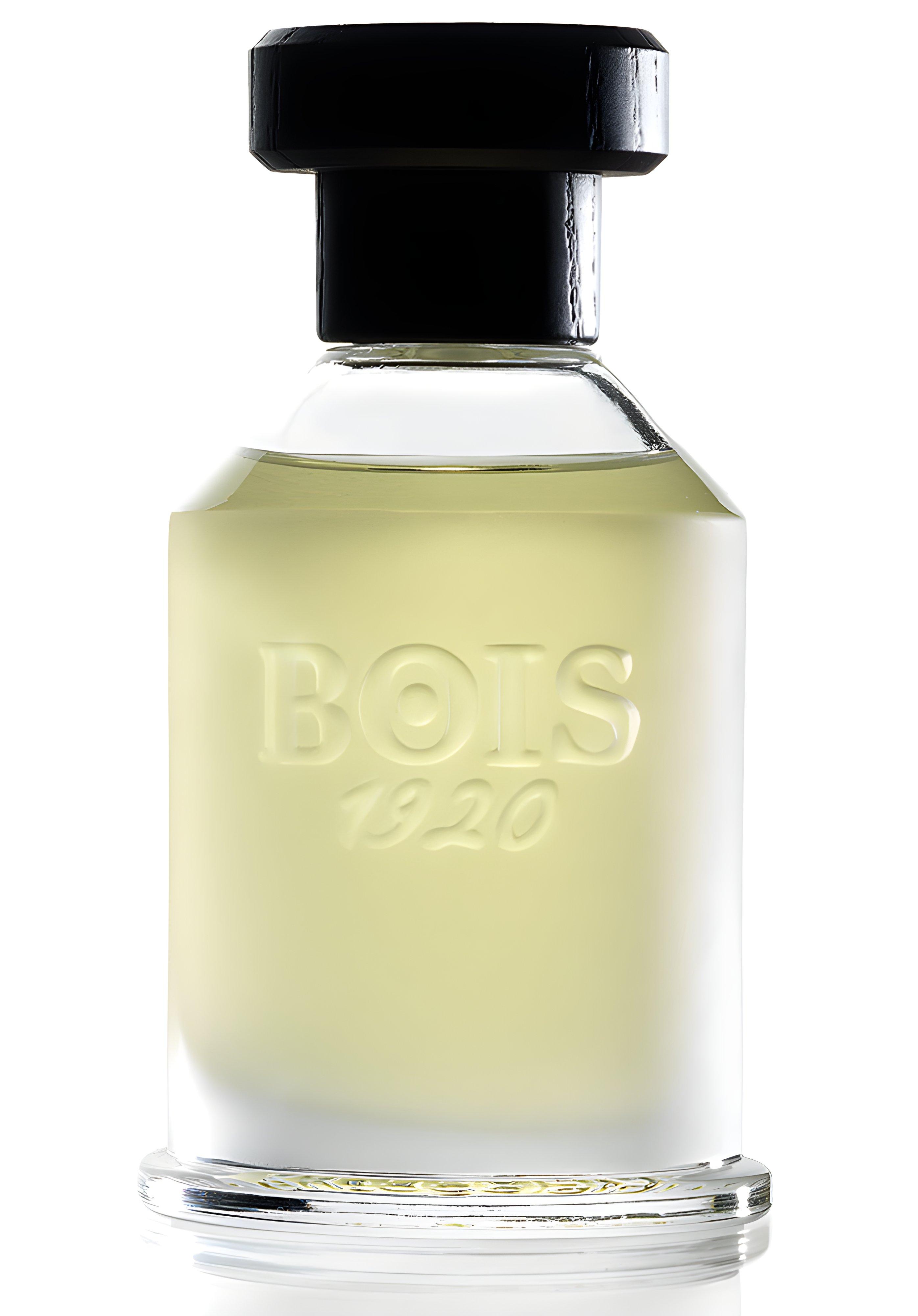 Picture of Rosa 23 fragrance