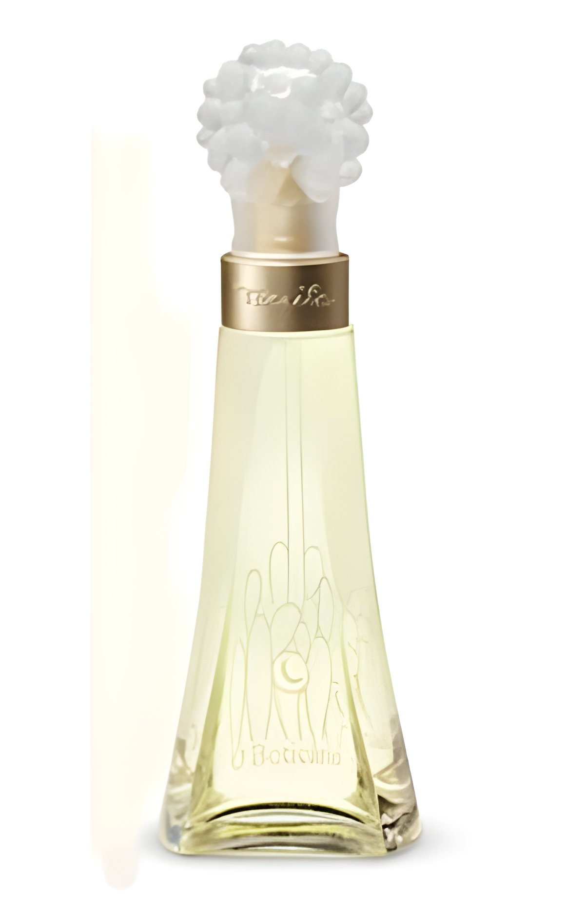 Picture of Tarsila fragrance