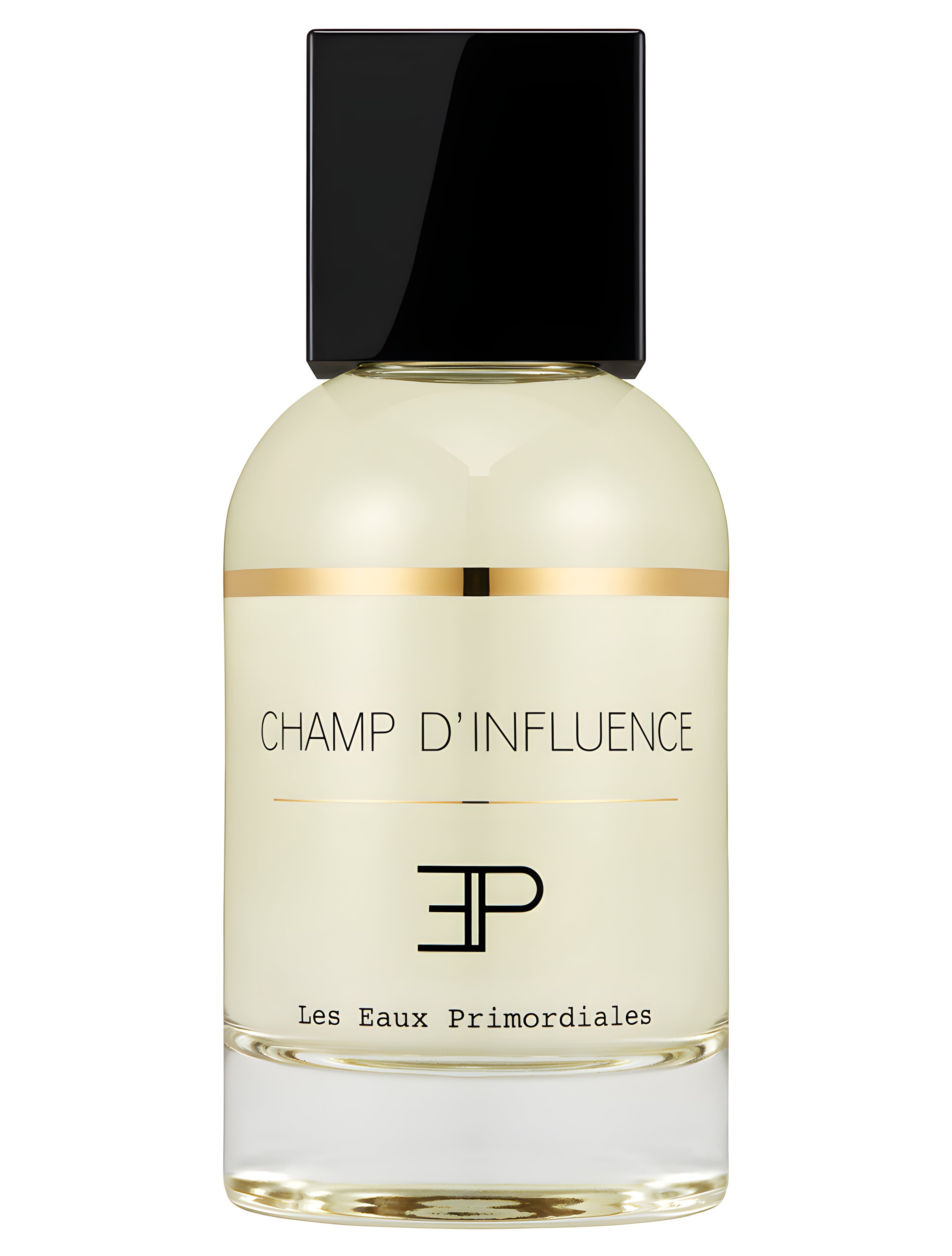 Picture of Champ d'Influence fragrance