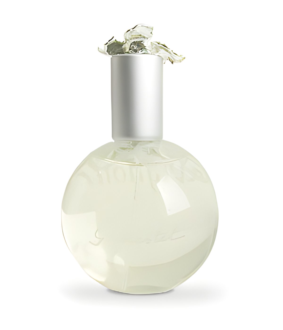 Picture of Sauvignonne fragrance