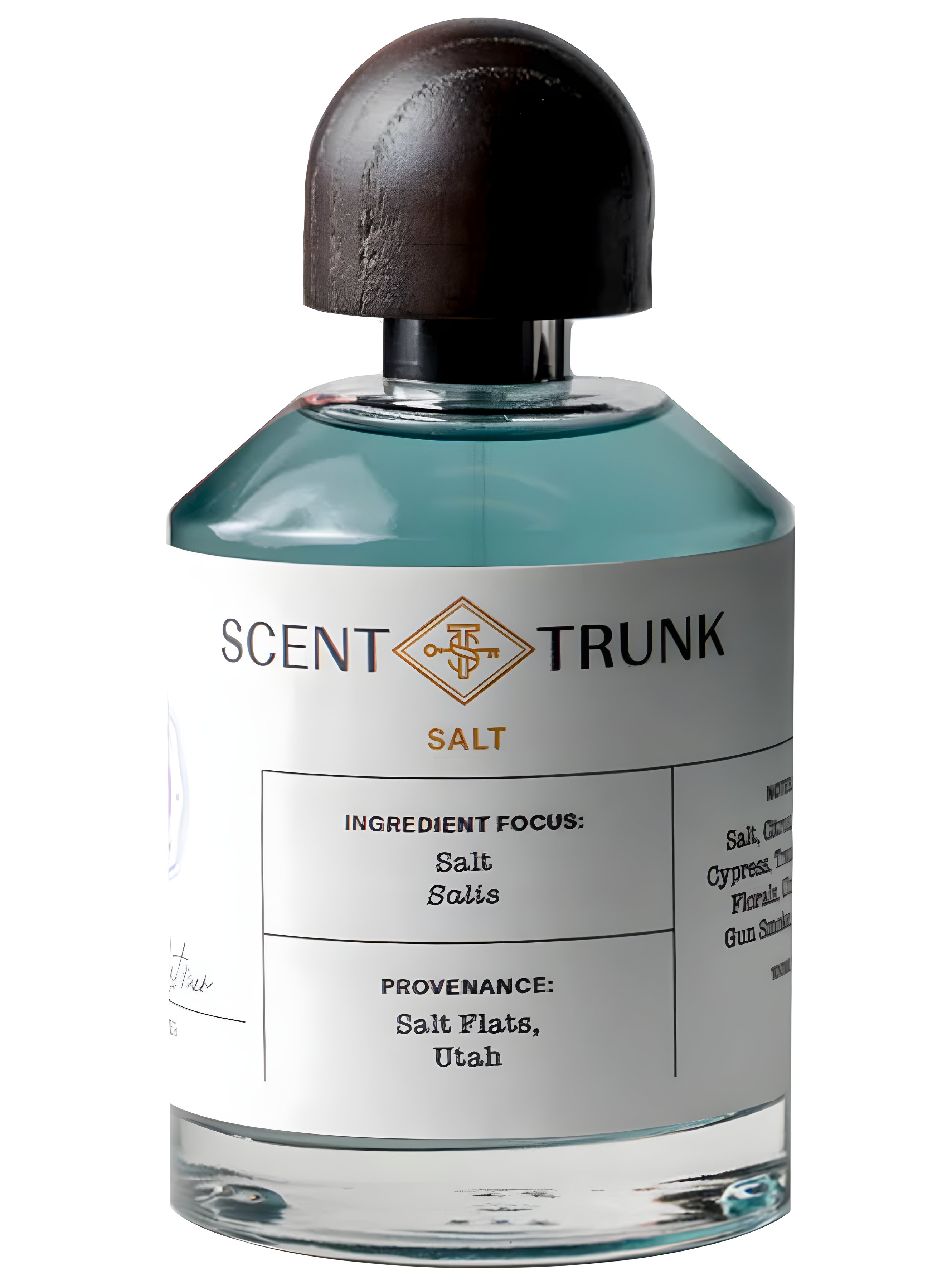 Picture of Salt fragrance