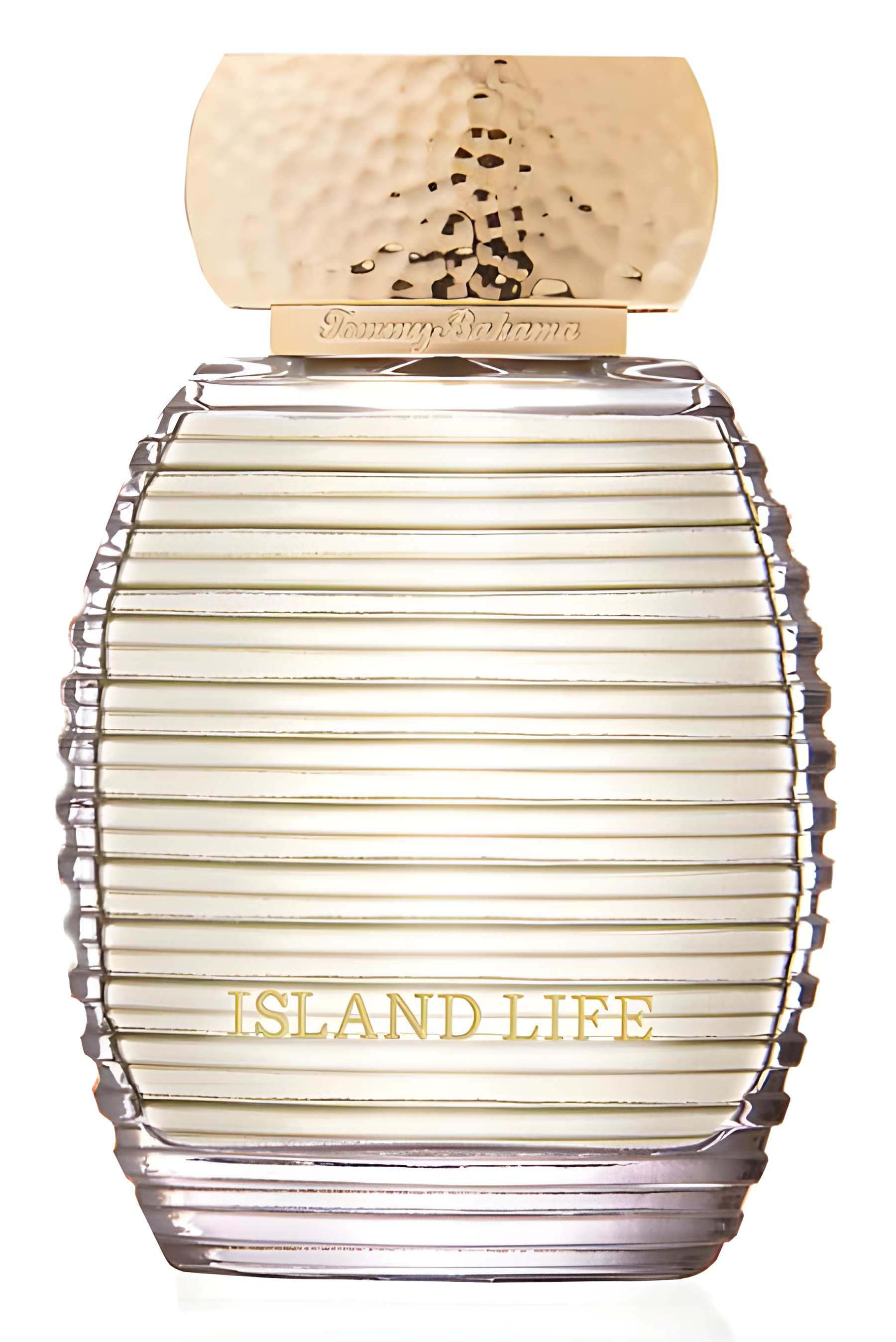 Picture of Island Life for Her fragrance