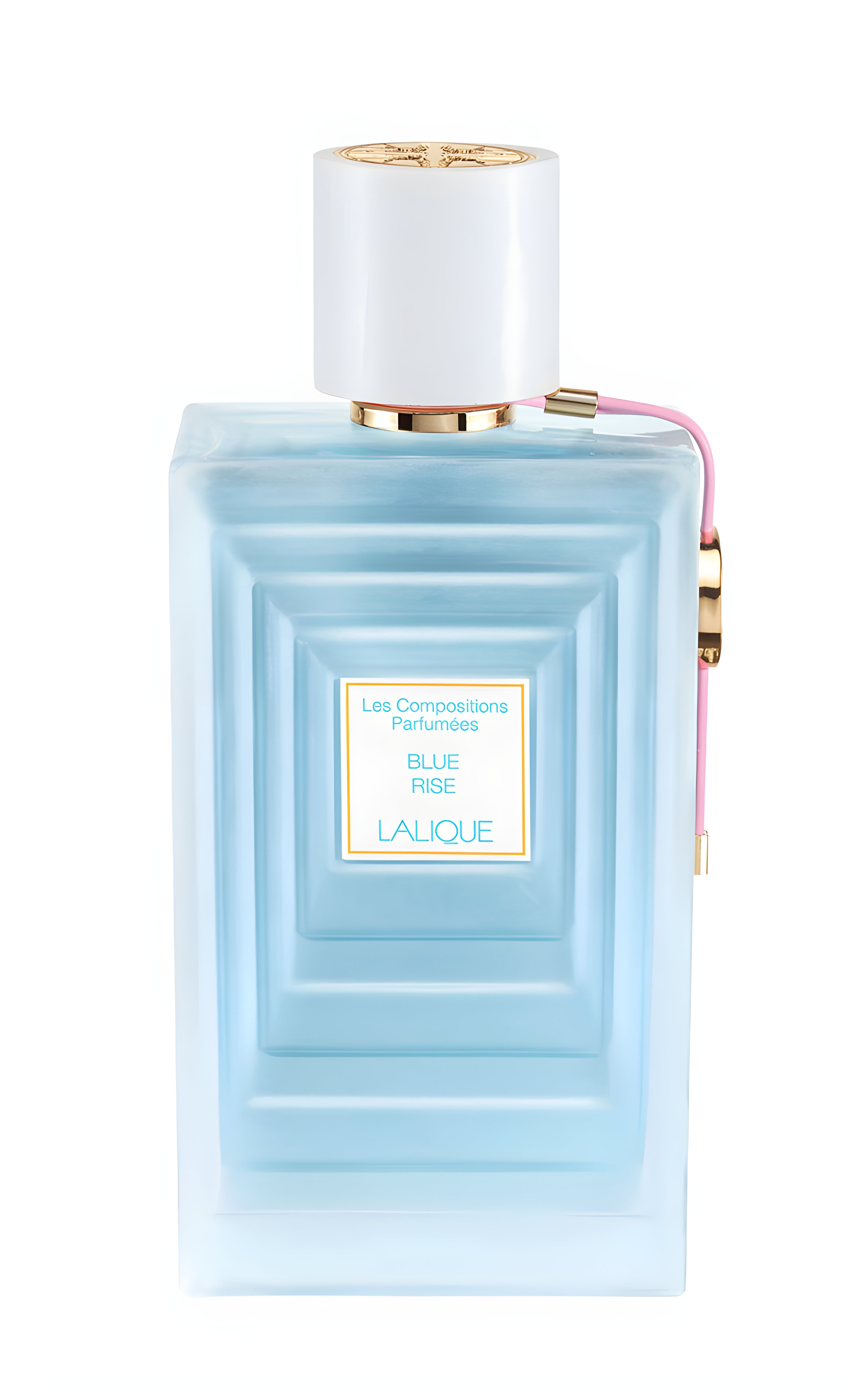 Picture of Blue Rise fragrance