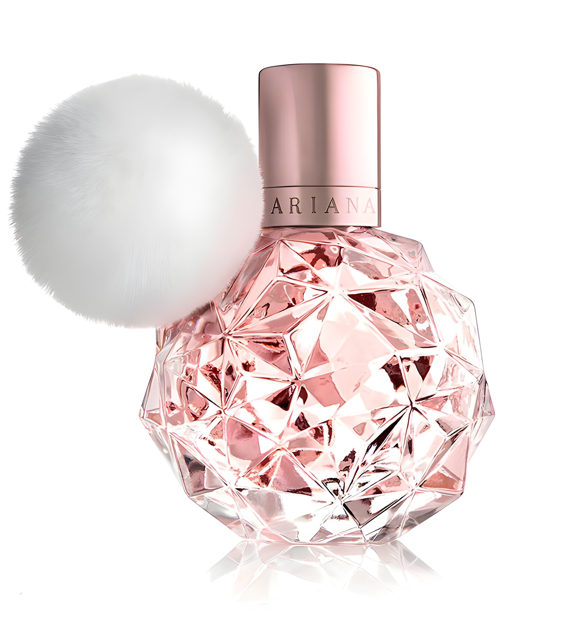 Picture of Ari fragrance