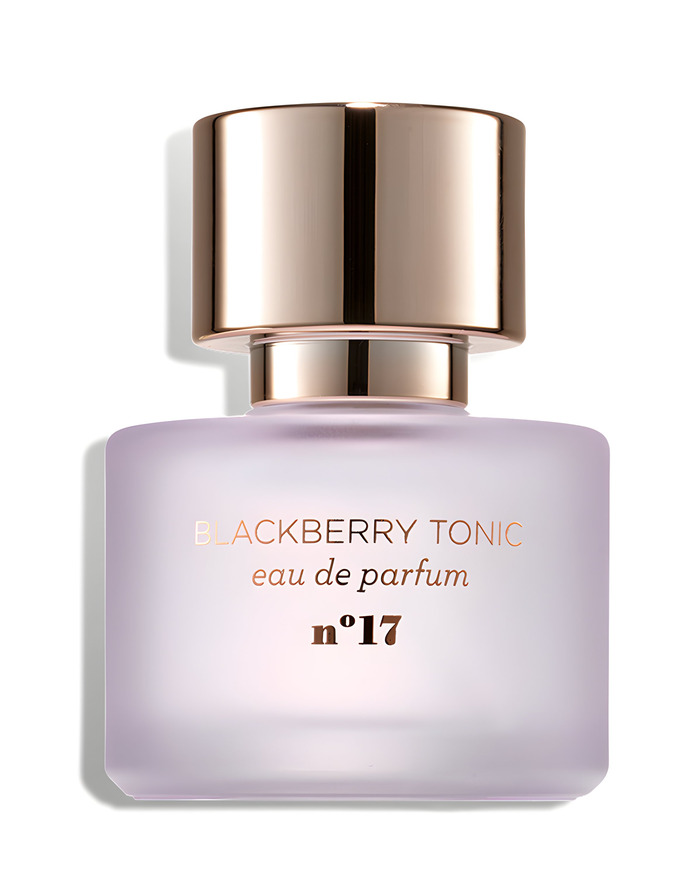 Picture of Blackberry Tonic fragrance