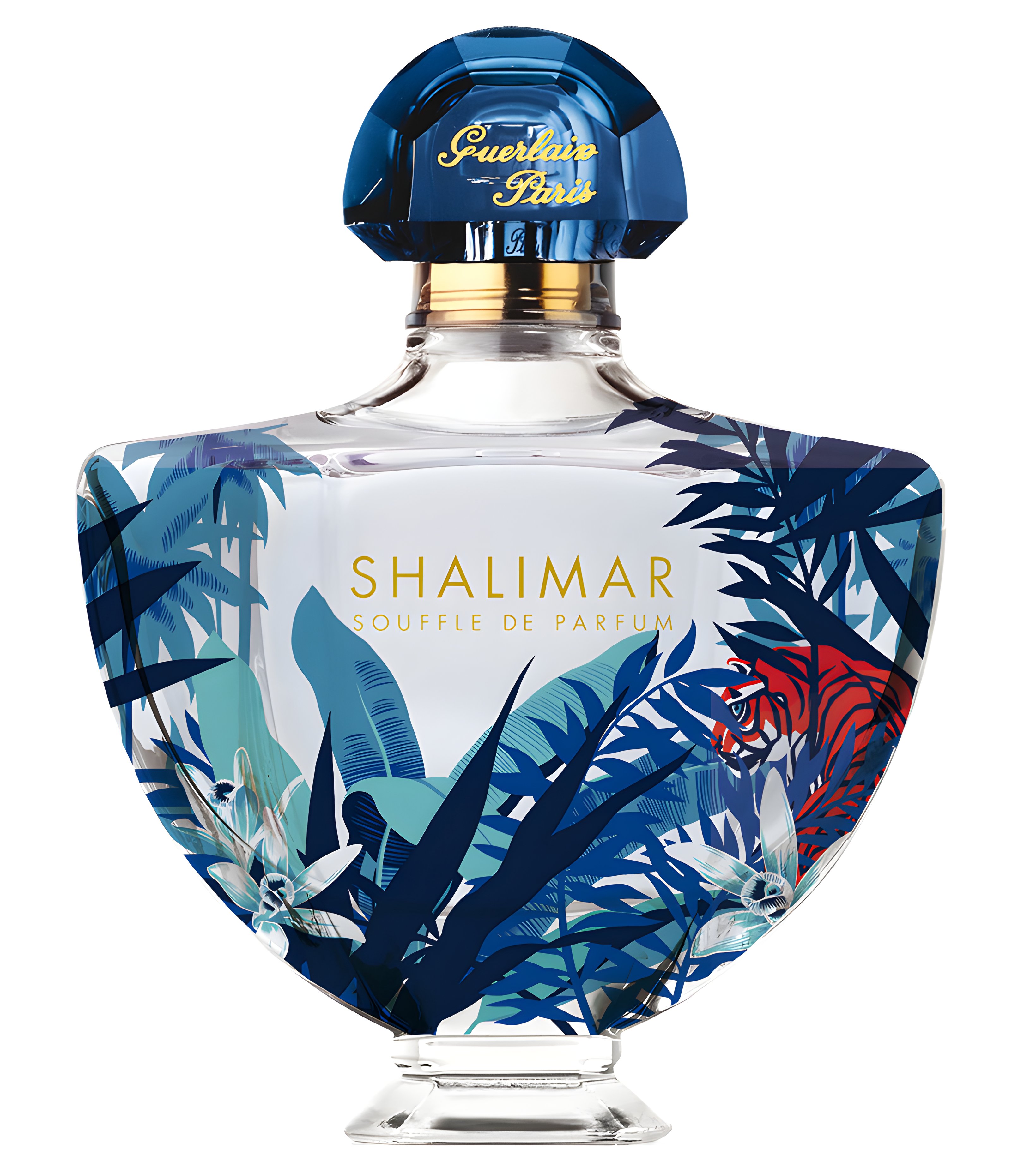 Picture of Shalimar Souffle de Parfum 2018 fragrance