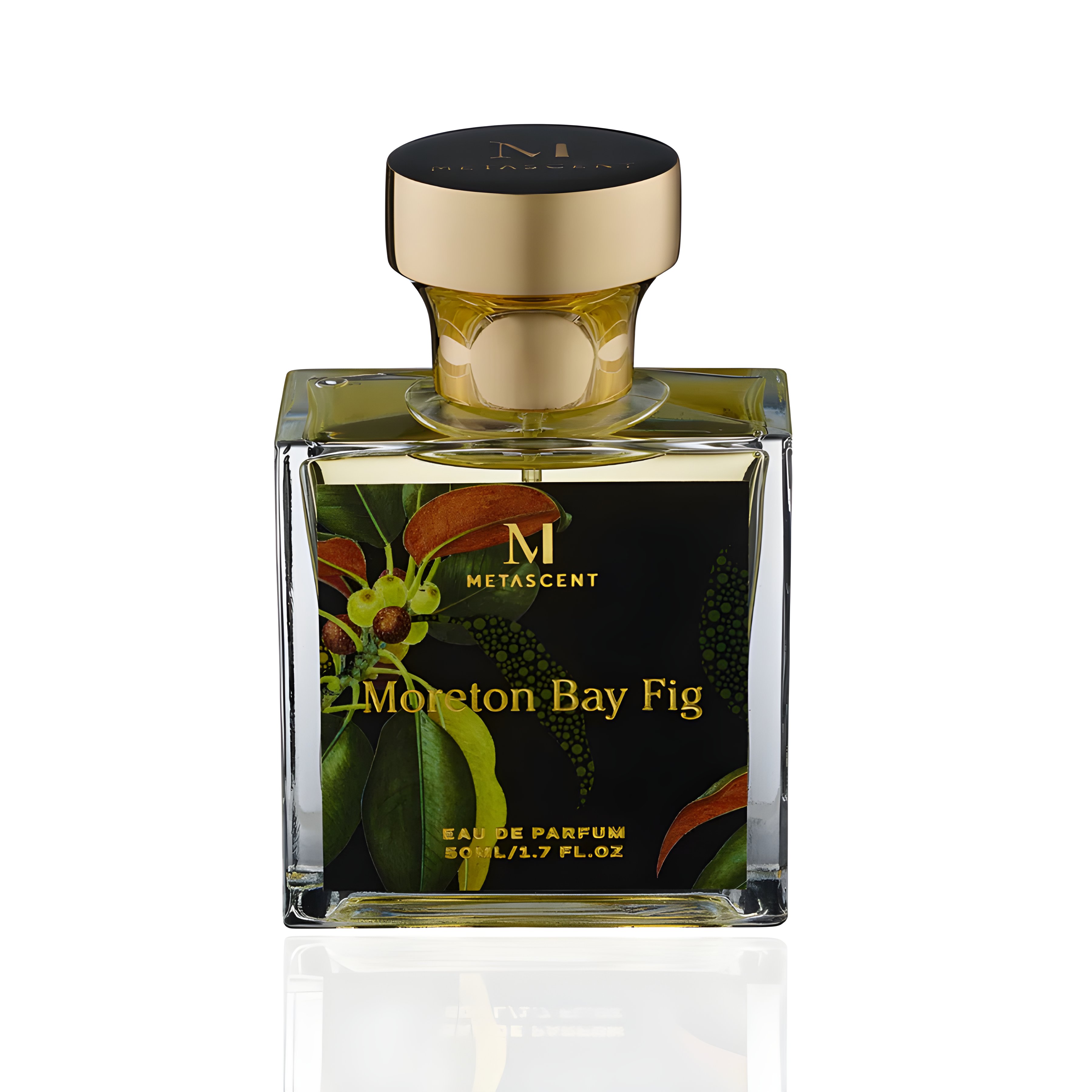 Picture of Moreton Bay Fig fragrance