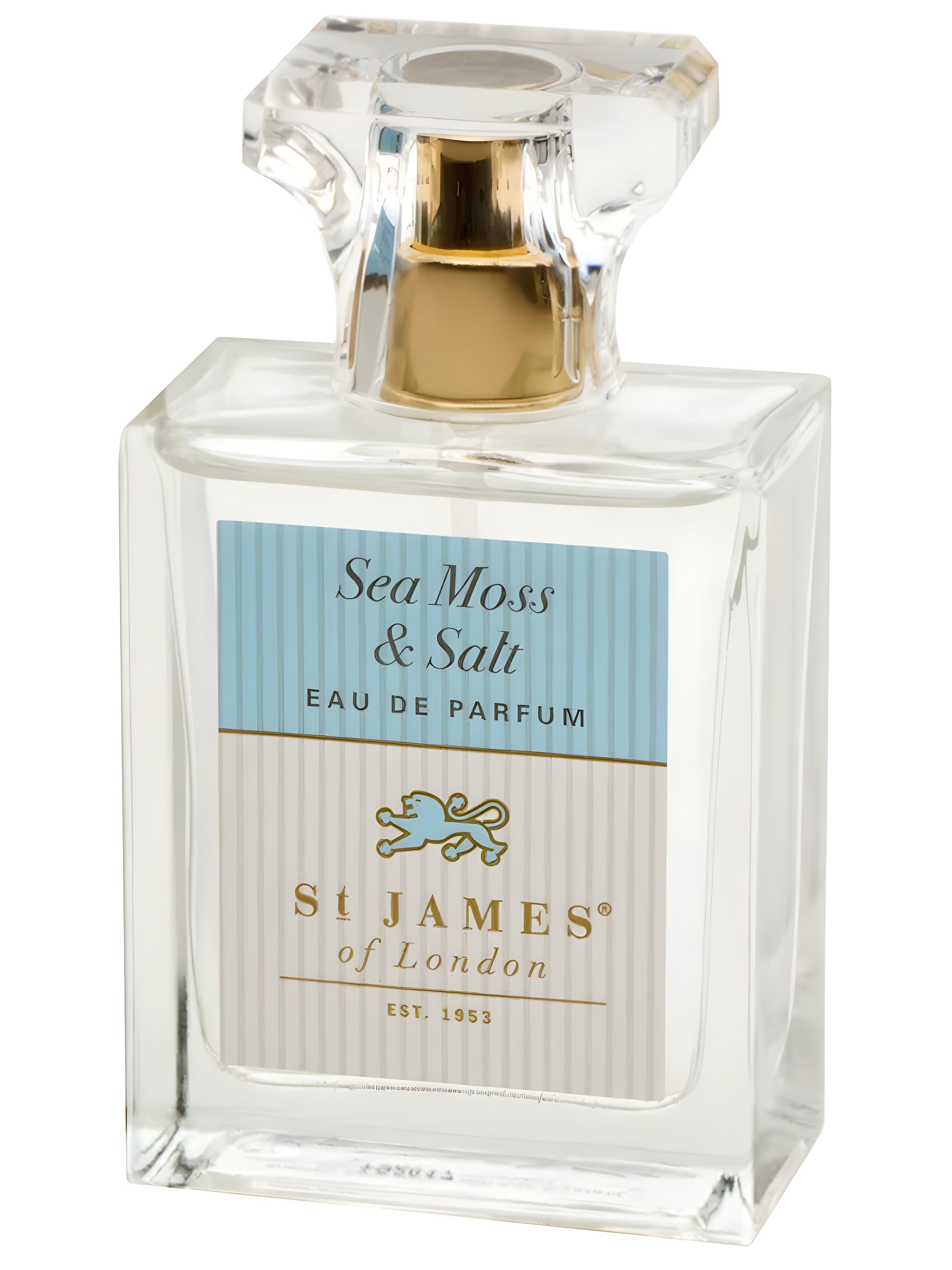 Picture of Sea Moss & Salt fragrance