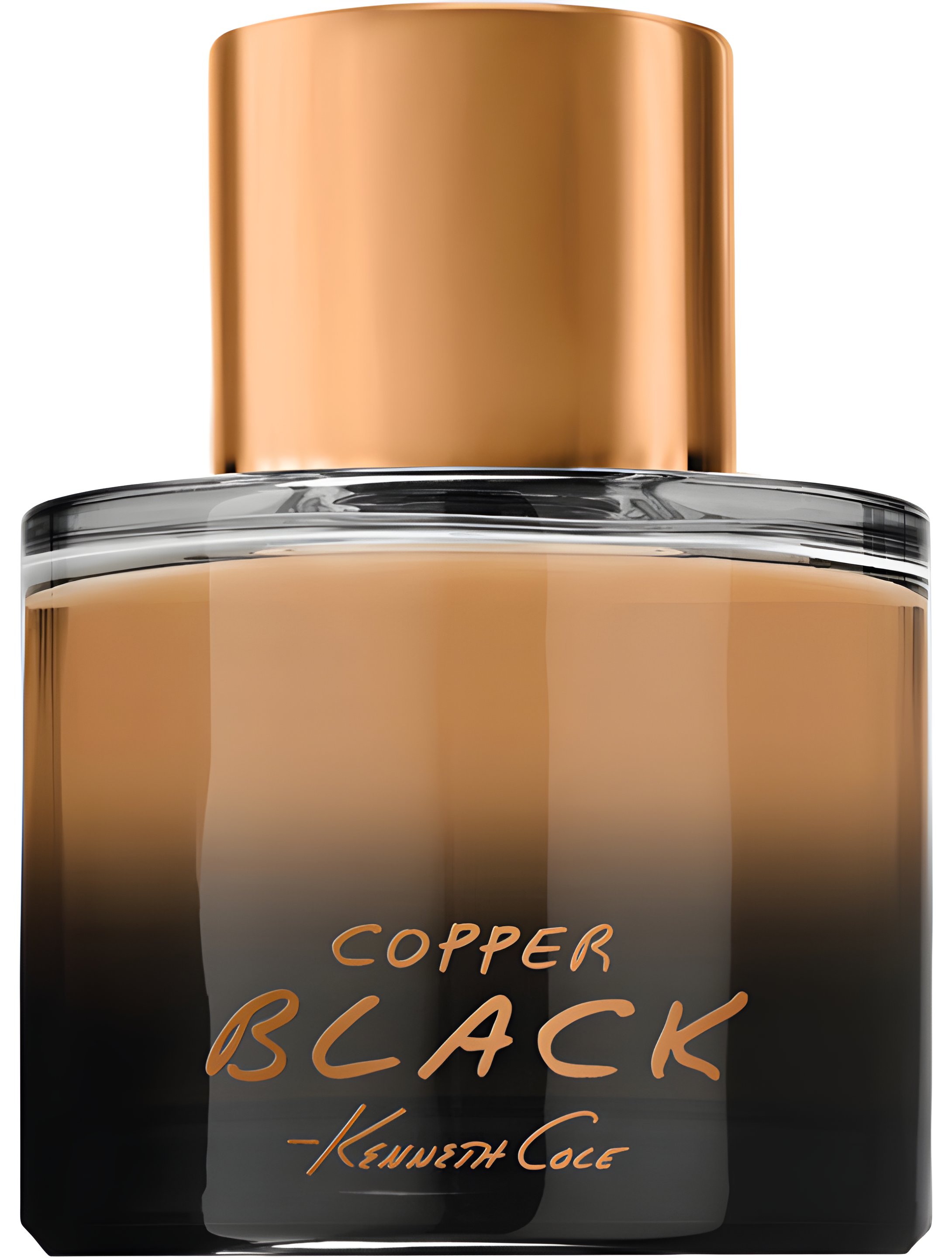 Picture of Copper Black fragrance