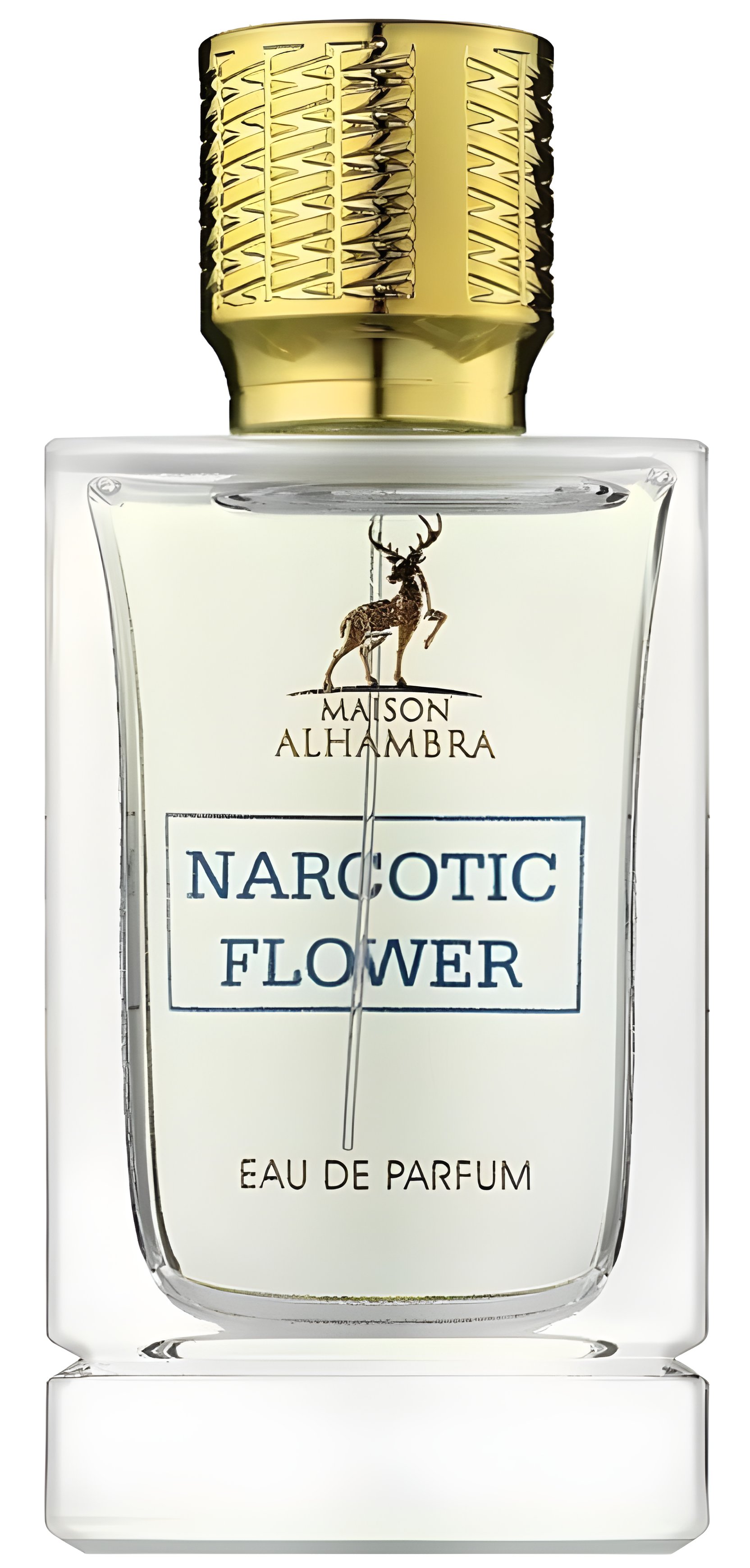 Picture of Narcotic Flower fragrance