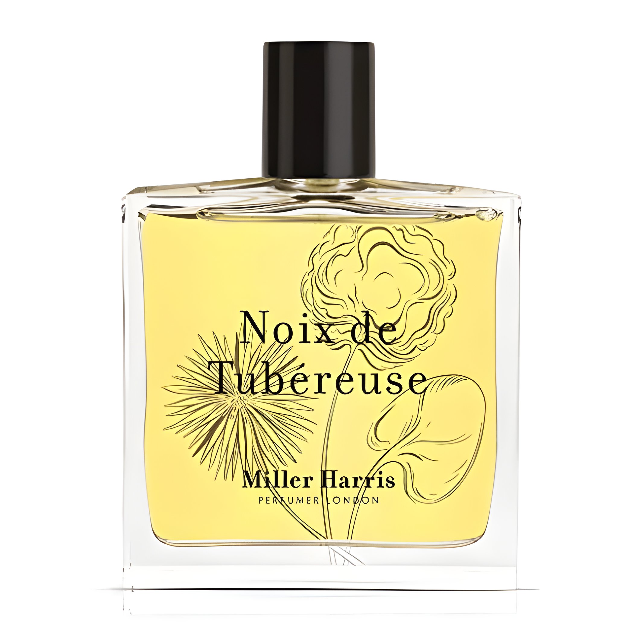 Picture of Noix de Tubereuse fragrance