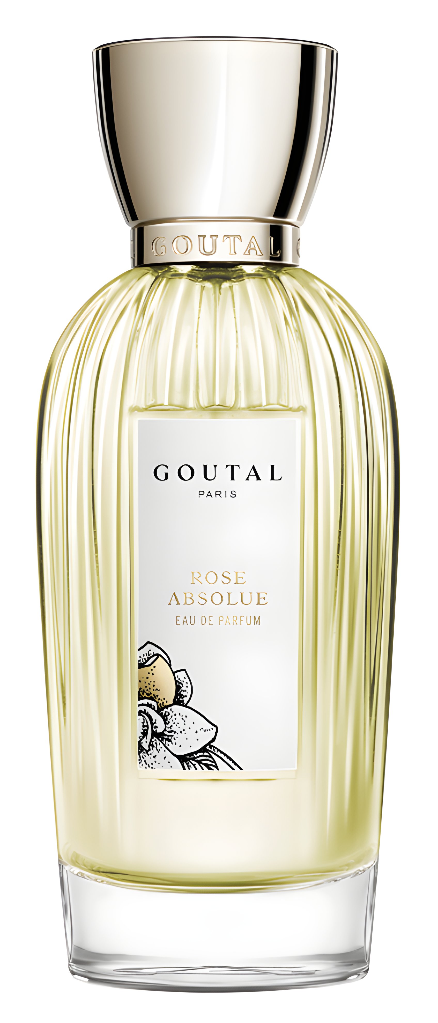 Picture of Rose Absolue fragrance