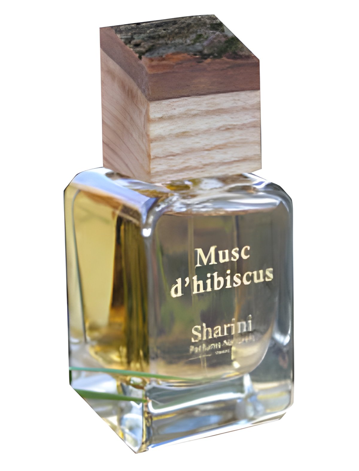 Picture of Musc d'Hibiscus fragrance