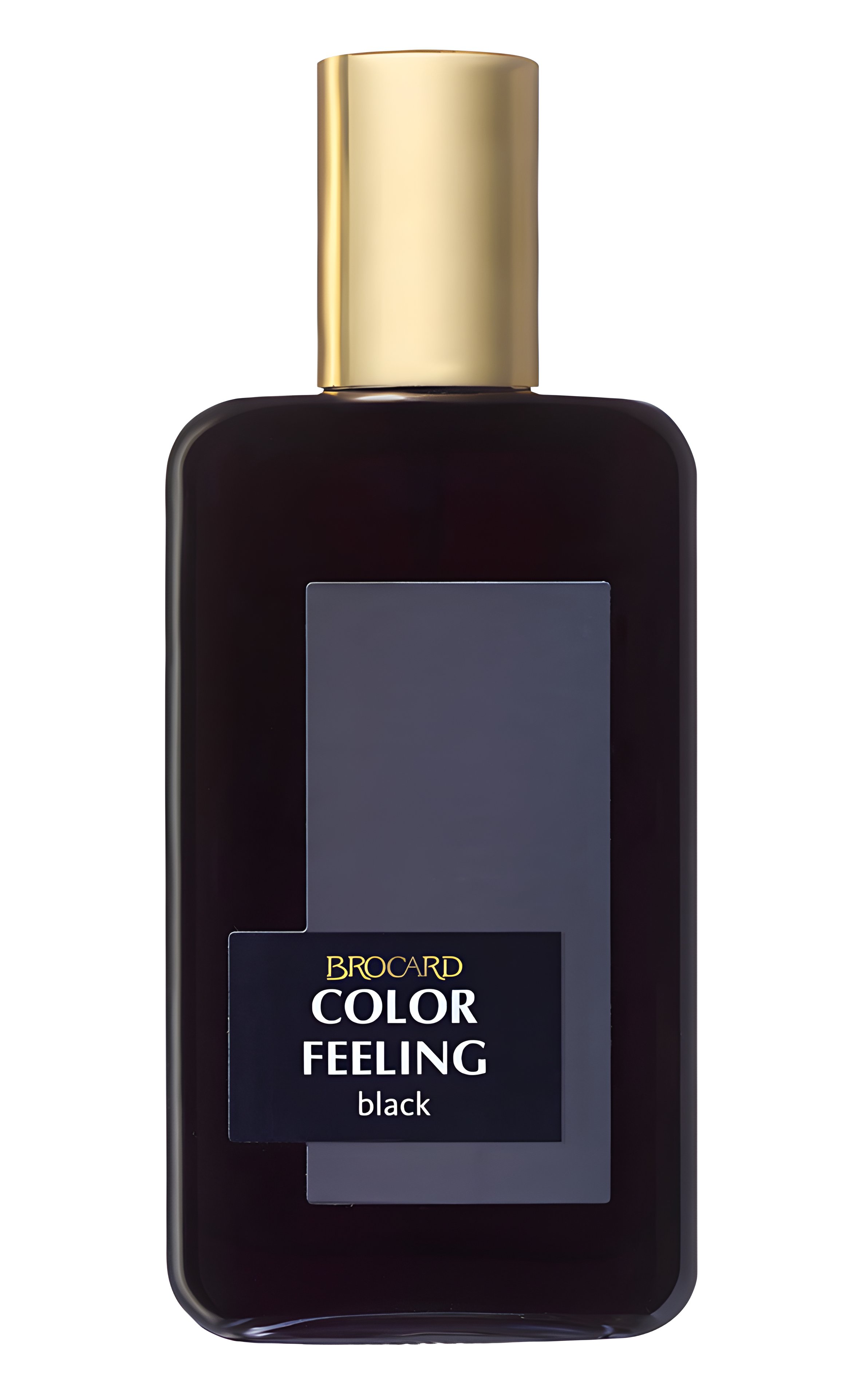 Picture of Color Feeling Black fragrance