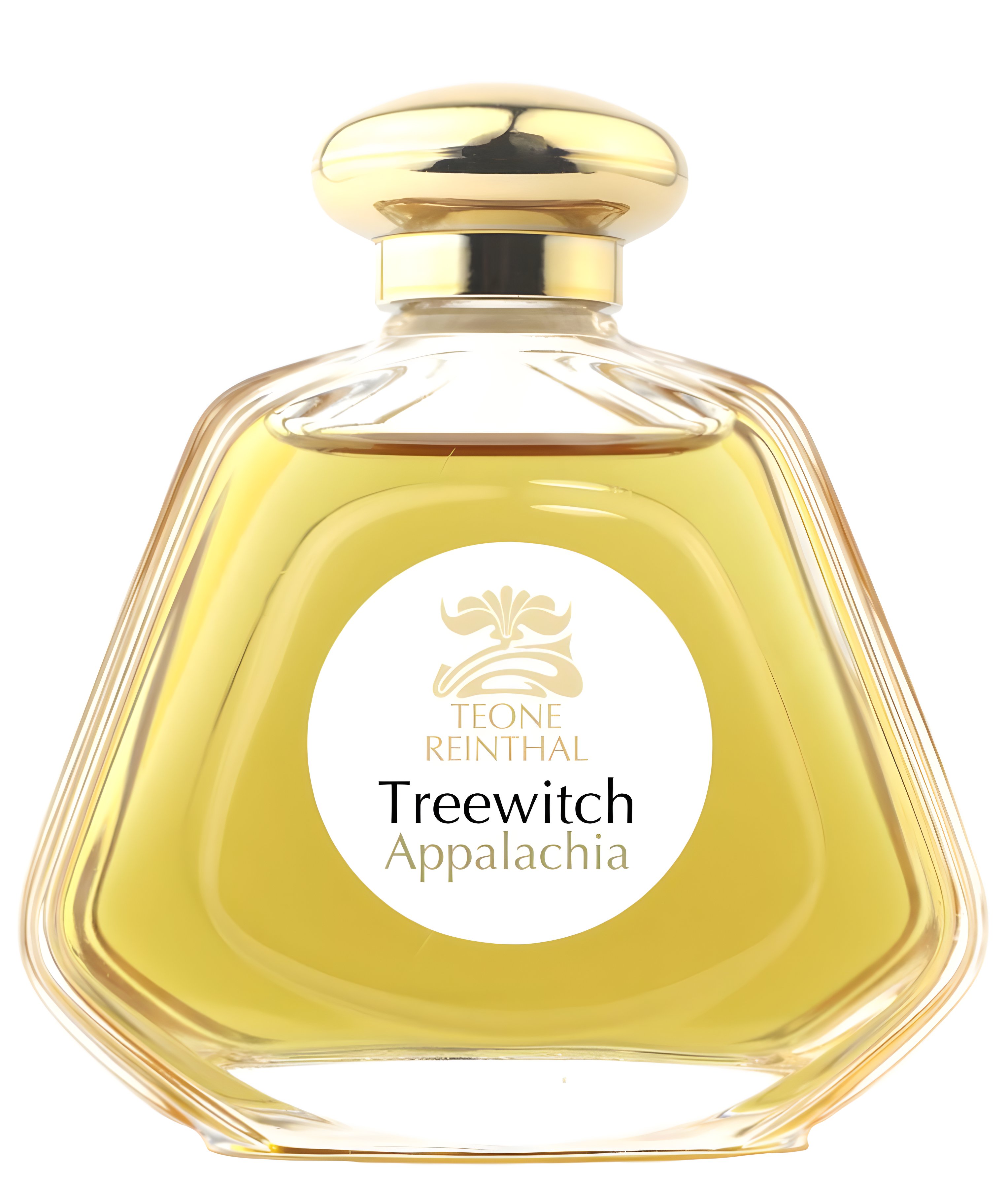 Picture of Treewitch Appalachia fragrance