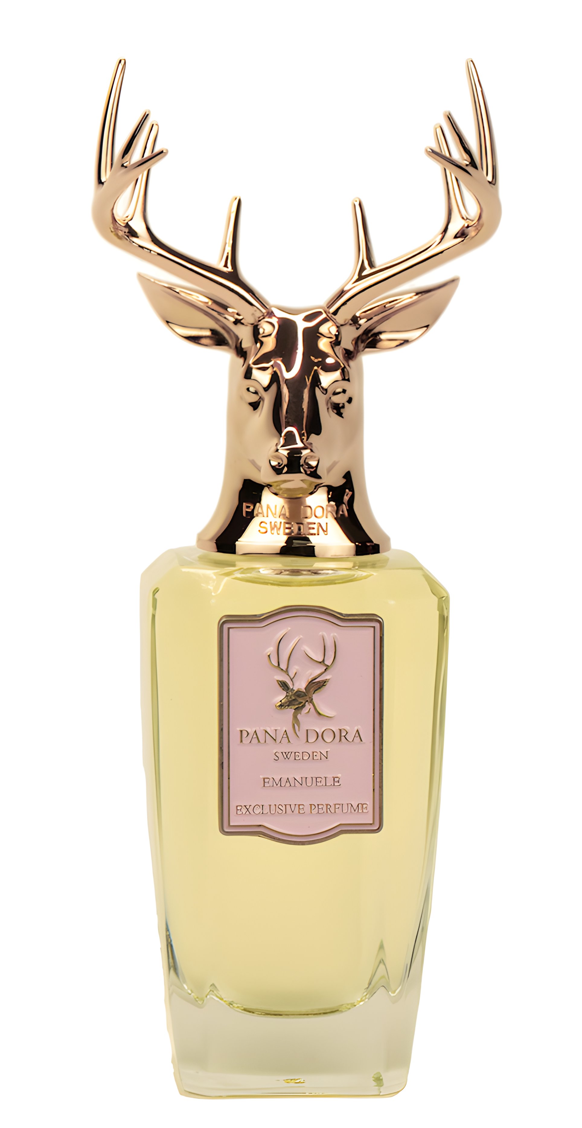 Picture of Emanuele fragrance