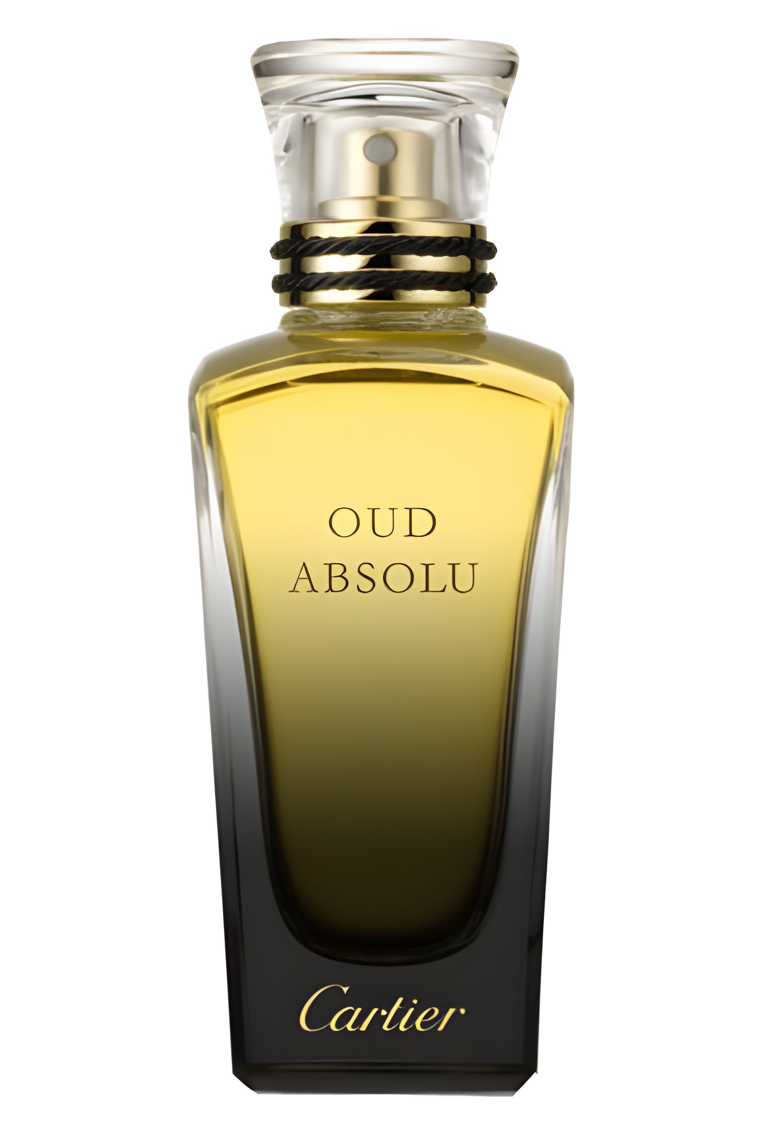 Picture of Oud Absolu fragrance