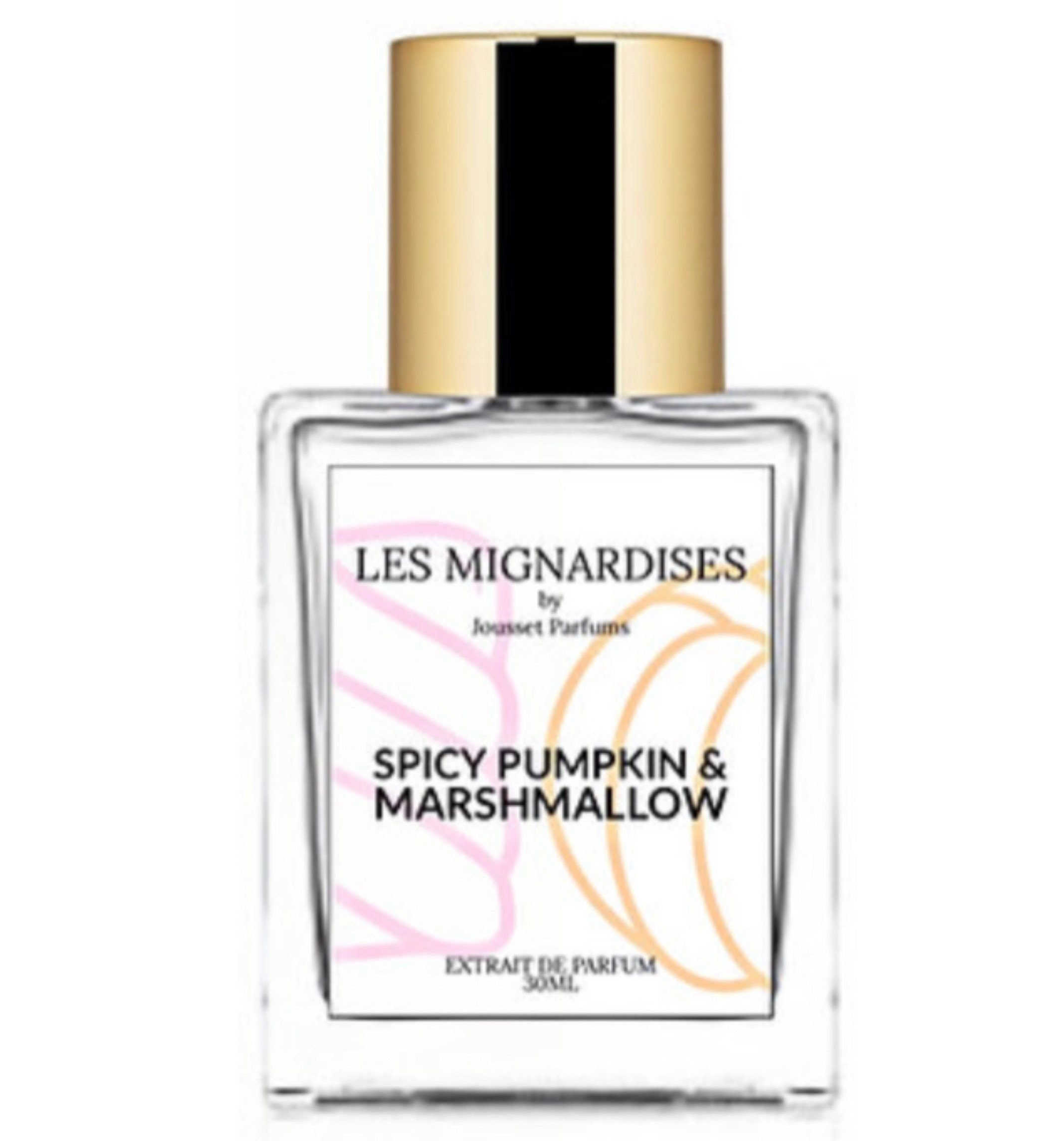 Picture of Spicy Pumpkin & Marshmallow fragrance