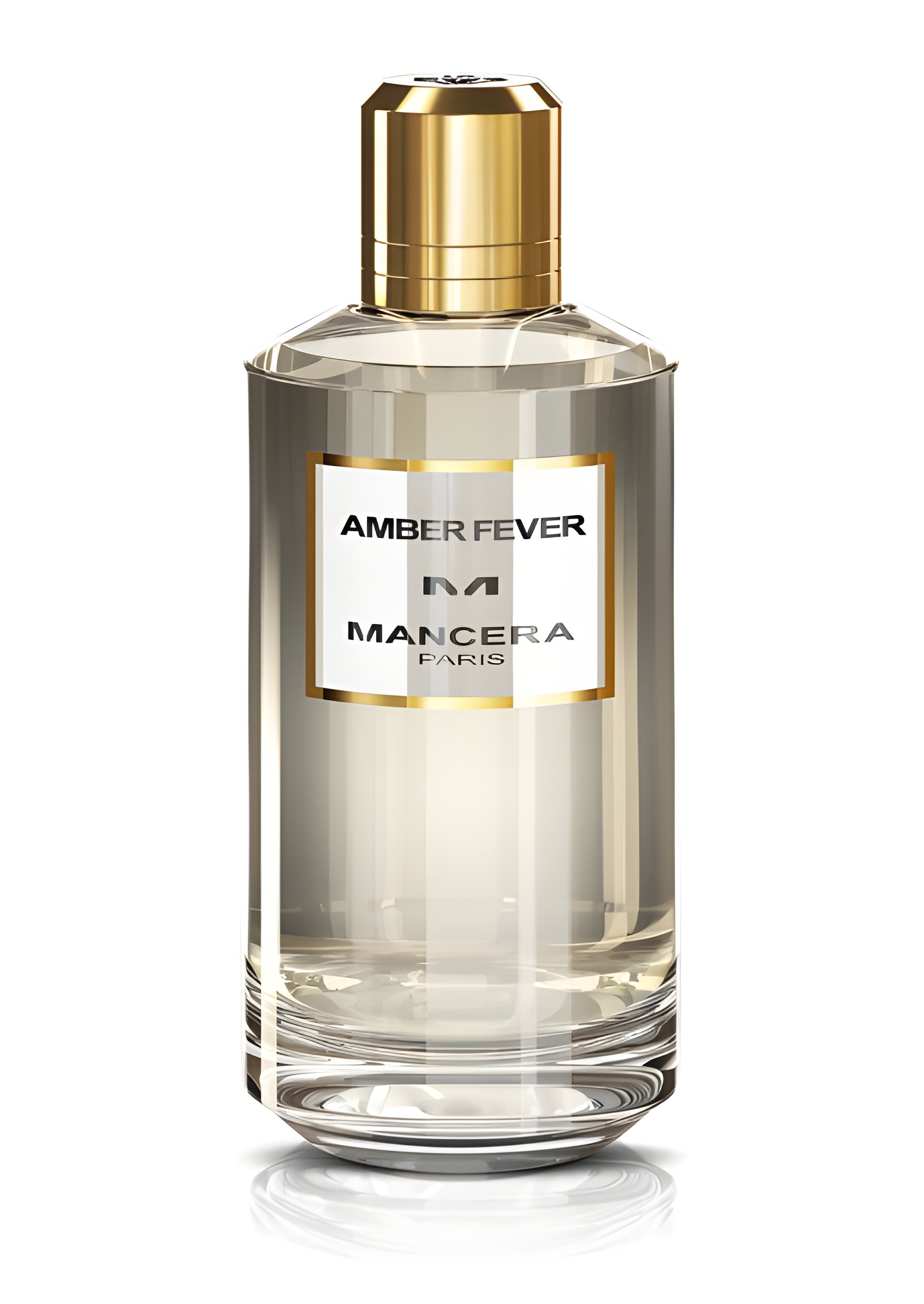 Picture of Amber Fever fragrance